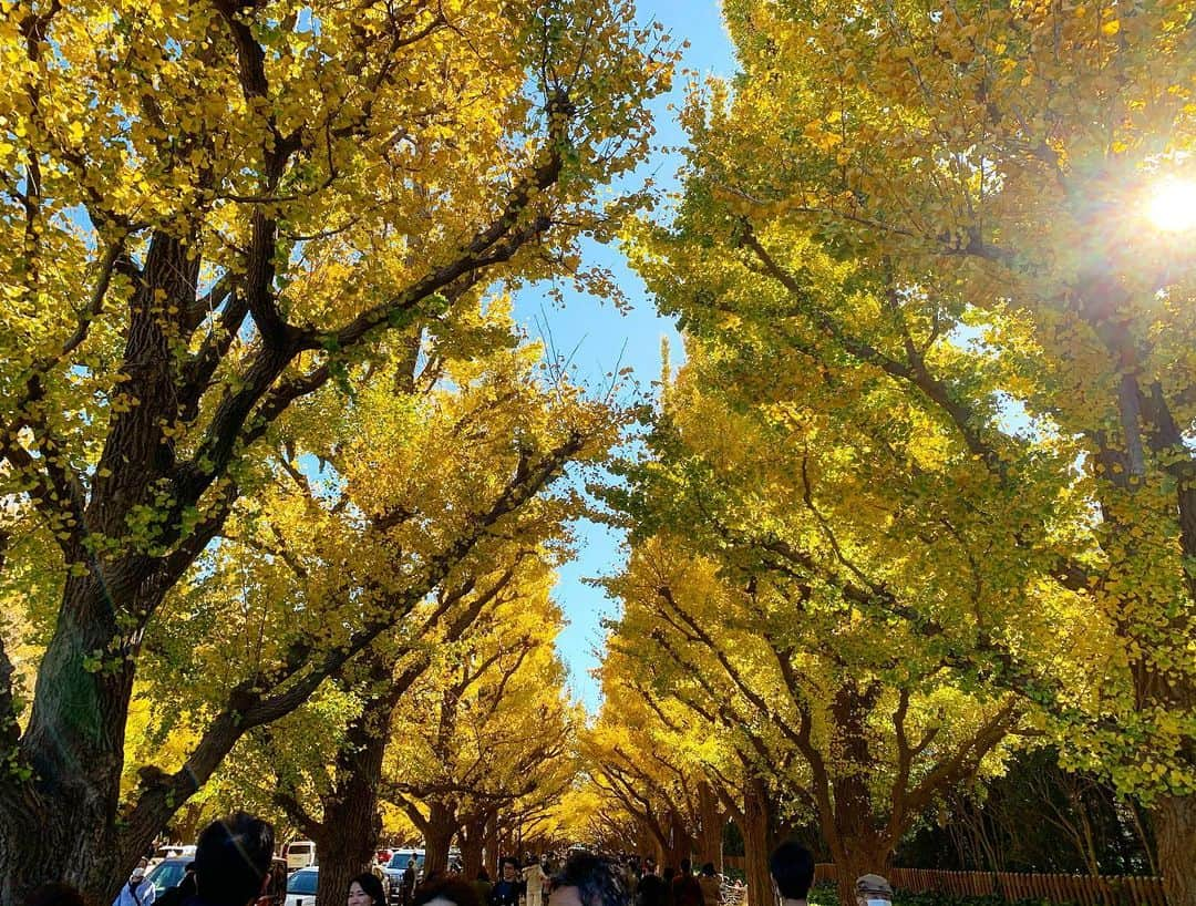 日華のインスタグラム：「Beautiful day!!」