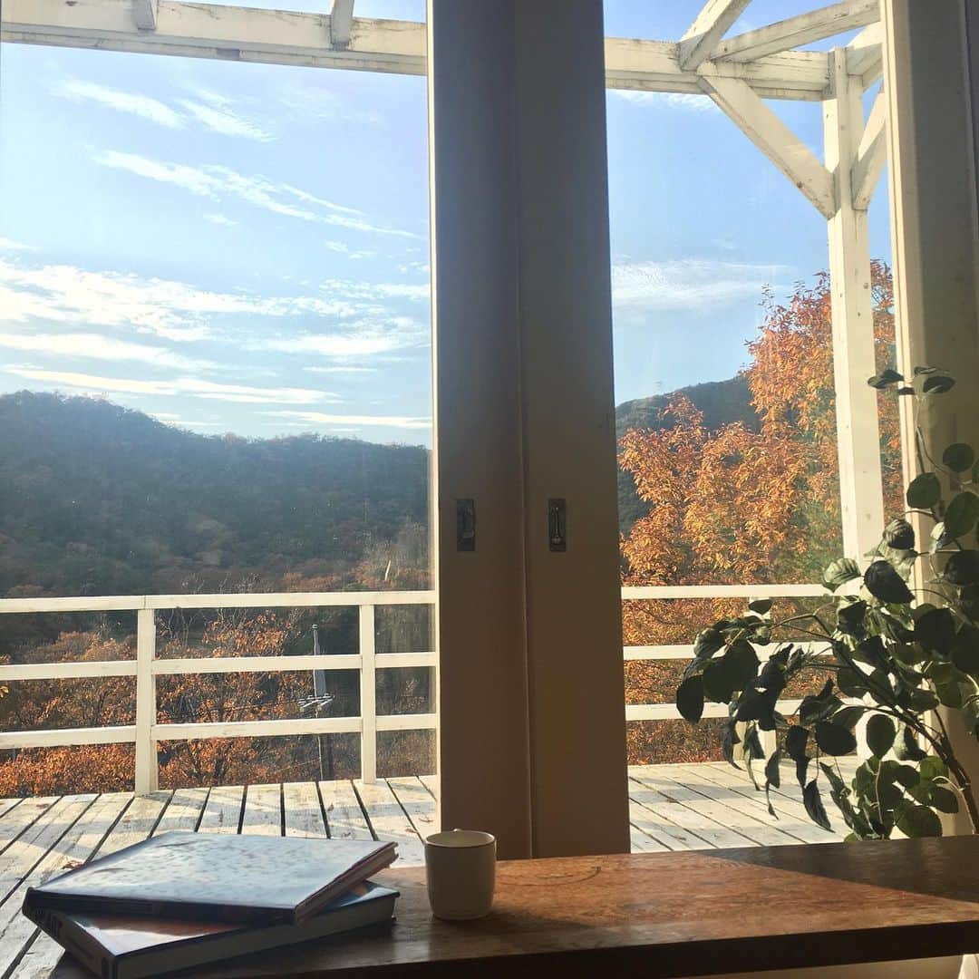 石川琴允さんのインスタグラム写真 - (石川琴允Instagram)「▶︎紅葉のお裾分け 🍁 : : : :  素敵な1日を ✨ : : #兵庫県 #紅葉 #スタジオ」11月21日 12時38分 - kotopon09