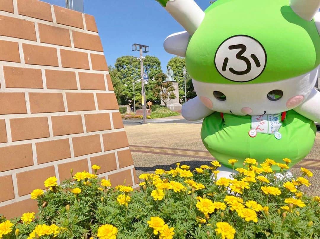 ふっかちゃんのグルメインスタ