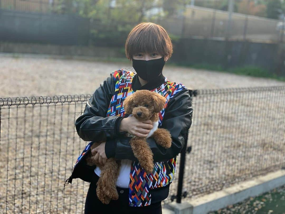 宮脇花綸さんのインスタグラム写真 - (宮脇花綸Instagram)「.  合宿後の休みに 愛犬と初めて旅行へ🐶💕  ドッグランに大興奮でした！  #nike」11月21日 13時45分 - karinmiyawaki