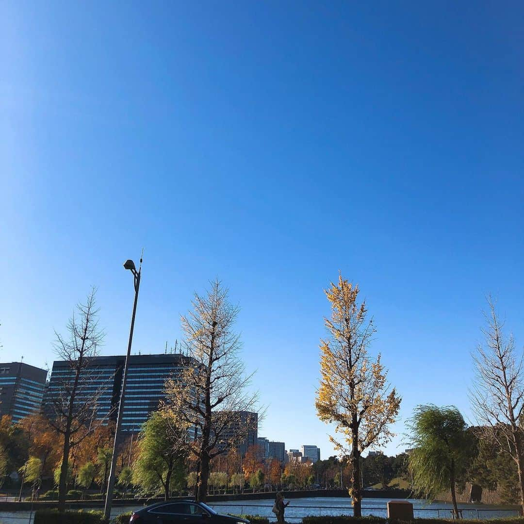 南城ひかりさんのインスタグラム写真 - (南城ひかりInstagram)「なんてピカピカなお天気🌞 ほんと〜に気持ちがいいですね✨✨  今日は帝国劇場ではなく… 新たなパソコン💻を 見つけにビックカメラへ。  今までのパソコンさん、 ほんと〜にありがとう🙏🏻  あなたを初めて手にした時 あなたの可愛らしさや 使いやすさにワクワクした💓  あなたのお陰で たくさんのお仕事が生まれました💓 ほんとにありがとう。  そして、 ここからまた新たな世界を作り出し 新たな世界へと移行するぞ🙋‍♀️🕊✨💕 #blog更新　 「卒業から…新たな展開、新たな旅立ちへ」 #ありがとう　#感謝  ＝＝＝＝＝＝＝＝＝＝＝＝＝＝＝＝＝＝＝＝ 〜あなたの世界が愛で溢れ出します〜 ◇ブログ http://ameblo.jp/beauty-life-salon-mignon/  ◇お仕事のご依頼/お問い合わせ https://ssl.form-mailer.jp/fms/b8824119555045  ＝＝＝＝＝＝＝＝＝＝＝＝＝＝＝＝＝＝＝＝ #愛してる　#愛活　#愛　#幸運　#強運  #夢は具現化する #元タカラジェンヌ　#宝塚歌劇団　#思考は現実化する　#人生を変える　#幸せになる　#スピリチュアル　#夢は叶う　#自己啓発　#happy #希望  #セミナー　#自分ビジネス　#起業　#起業女子」11月21日 14時11分 - hikariminashiro