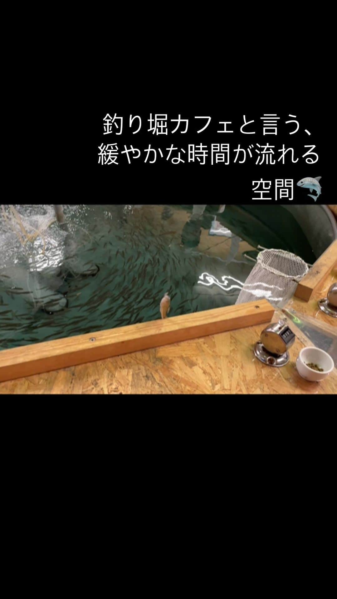 キャプテン★ザコのインスタグラム：「釣りしながら、のんびりと過ごせる場所を発見‪🎣‬ ふと立ち寄るとめっちゃゆっくりした時間が流れてて、こんな所あるんだと新発見！ のほほんとした時間も良いでっせ🙌   #よしもとリール王決定戦  #魚釣り #フィッシング #釣り堀 #カフェ #喫茶 #東京カフェ  #東京  #屋内」