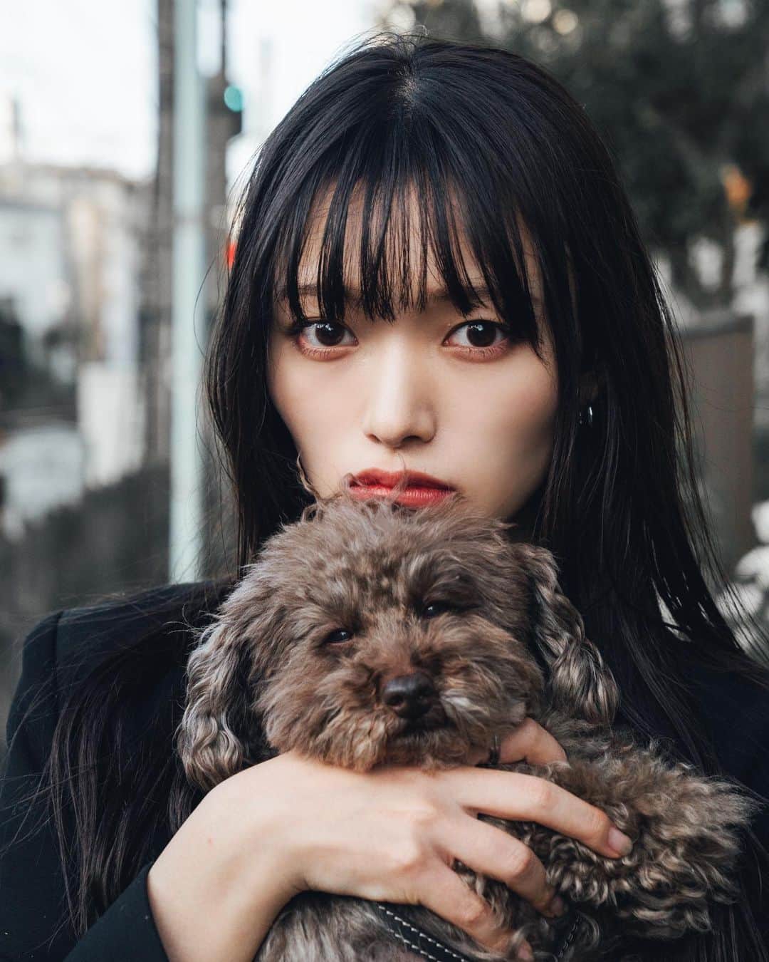 のインスタグラム：「.  🐕﻿ ﻿ ﻿ 動物をちゃんと撮るのははじめて﻿ ﻿ ﻿ なんとなく﻿ 犬や猫を撮ってどうこうって﻿ ものすごくチートな感じが避けてた﻿ ﻿ ﻿ けどもうプロじゃないし﻿ ってことで﻿ ﻿ ﻿ 780枚中、691枚、犬の写真だった﻿ ﻿ ﻿ 3年ぶりのメイメイだったけど﻿ 写真が犬ばっか﻿ もちろんどっちも可愛かった﻿ ﻿ ﻿ 🐕♡」