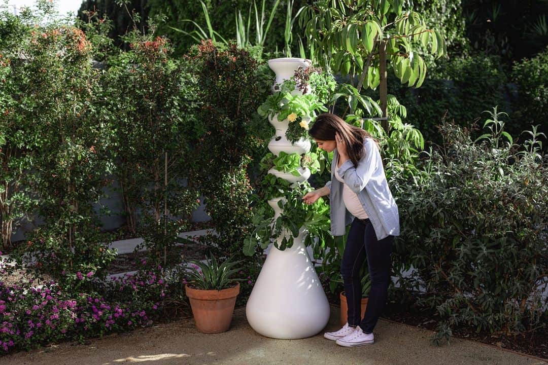 HGTVさんのインスタグラム写真 - (HGTVInstagram)「Don't let the constraints of square footage or winter weather (or both!) squash your dreams of having a lush garden full of homegrown food. 🥦🥬 With this nifty, futuristic-looking hydroponic tower, you can grow just about anything your heart desires in any size space. 👩‍🌾⁠ ⁠ Read our gardening expert's full review and shop Lettuce Grow's Farmstand garden system at the link in our profile. 🛍🔝⁠. @lettucegrow  ⁠ #shopping #hydroponicgarden #gardening #lettucegrow #smallspacegarden #indoorgarden」11月22日 0時01分 - hgtv
