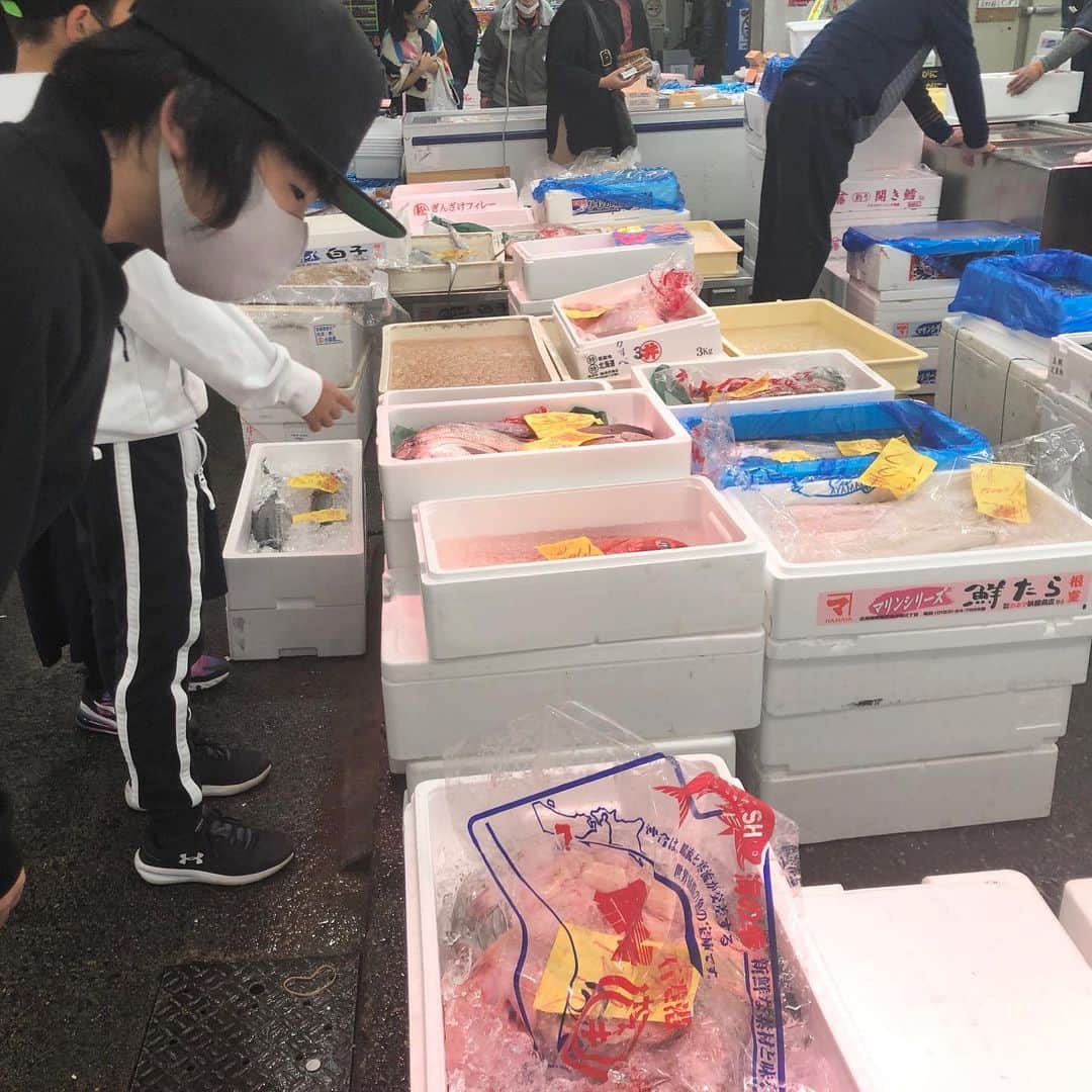 がっちゃんのインスタグラム：「ここ最近のがっちゃんは、週末になると朝から市場へ足を運んでいます🐟✨」