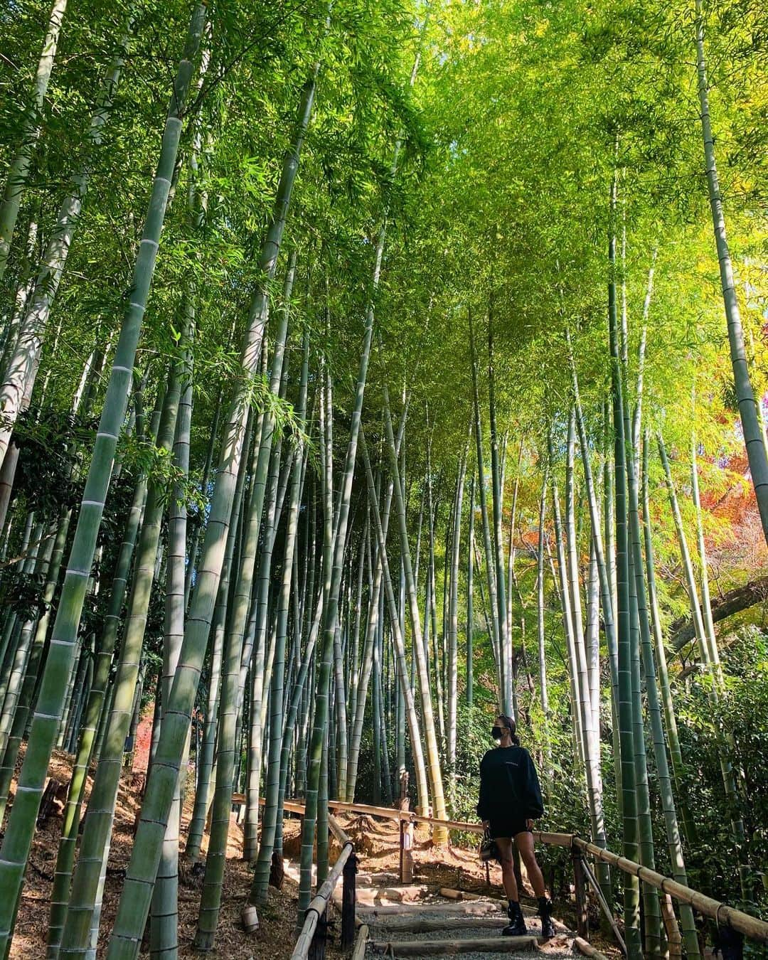 菅又菜摘（ナツ）さんのインスタグラム写真 - (菅又菜摘（ナツ）Instagram)「My power spot⛩🎋🍂🍁」11月21日 16時09分 - kogenatsu920