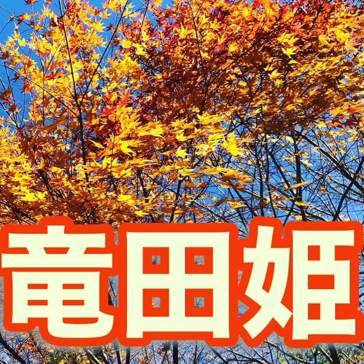 中野耕史のインスタグラム：「紅葉は楽しみましたか？🍁  YouTube新作UPしました🎥  心を伝える日本語　#54 竜田姫 https://youtu.be/3BgjOHBP6-k @YouTubeより」