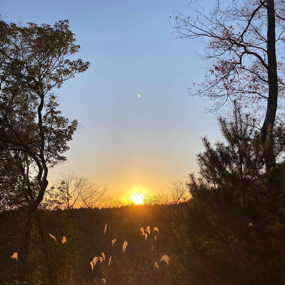 水野里砂のインスタグラム：「16:56🕔🌇」