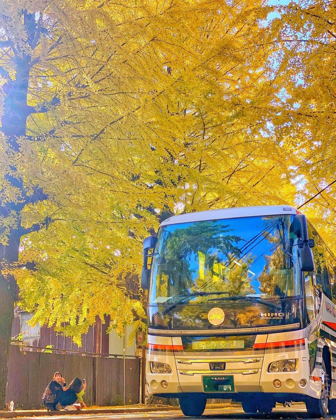 hama_aki_pppさんのインスタグラム写真 - (hama_aki_pppInstagram)「奈良県 奈良の#イチョウ並木 (スライドして下さい) Location Nara japan (Swipe)     ) Location Kyoto Japan (Swipe)  　 2020.11.15  先週末、談山神社に行く予定でしたが駐車場1キロ前から大渋滞🚗🚙🚕行列と密が大嫌いなのでサクッとUターン🌀 途中にあった岡寺に寄り帰りに昨年目を付けていたイチョウ並木を見に行きました💨。　  　  #ダレカニミセタイケシキ  #寺社仏閣  #美しい日本　 #日本庭園  #わたしは奈良派  #奈良県景観資産  #top_favorite_shots  #inspring_shot #beautiful_kansai #ig_autumn  #japanesetemple  #japanesegarden  #loves_united_japan  #special_spot_  #japanese_gardens  #otonatabi_japan  #be_one_natura #sorakataphoto  #ig_color  #ig_shotz  #autumn_colors  #phx_flowers  #patal_perfection  #ig_myshots  #hello_worldpics  #travelingsavant  #bestpicturesgallery  #whimlife  #9vaga9」11月21日 16時57分 - hama_aki_ppp