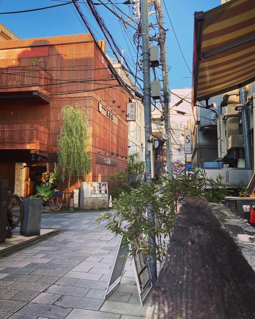 長谷部瞳さんのインスタグラム写真 - (長谷部瞳Instagram)「＊ 二子玉川散歩👟  小さい頃から慣れ親しんだ二子玉川。  景色は変わっていくけれど 居心地のいい雰囲気はそのままだ🍀  新しい飲食店も増えたなぁ🍴  #二子玉川 #柳小路 #お店巡り #二子玉川ライズ #二子玉川高島屋 #散策 #東京散歩 #散歩写真  #たべすたぐらむ  #ootd  #fashionlover #fashiongram」11月21日 17時07分 - hasebe_hitomi