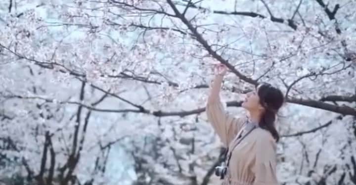 Rinkaのインスタグラム：「そういえばすぎる今年の春  #vlog」