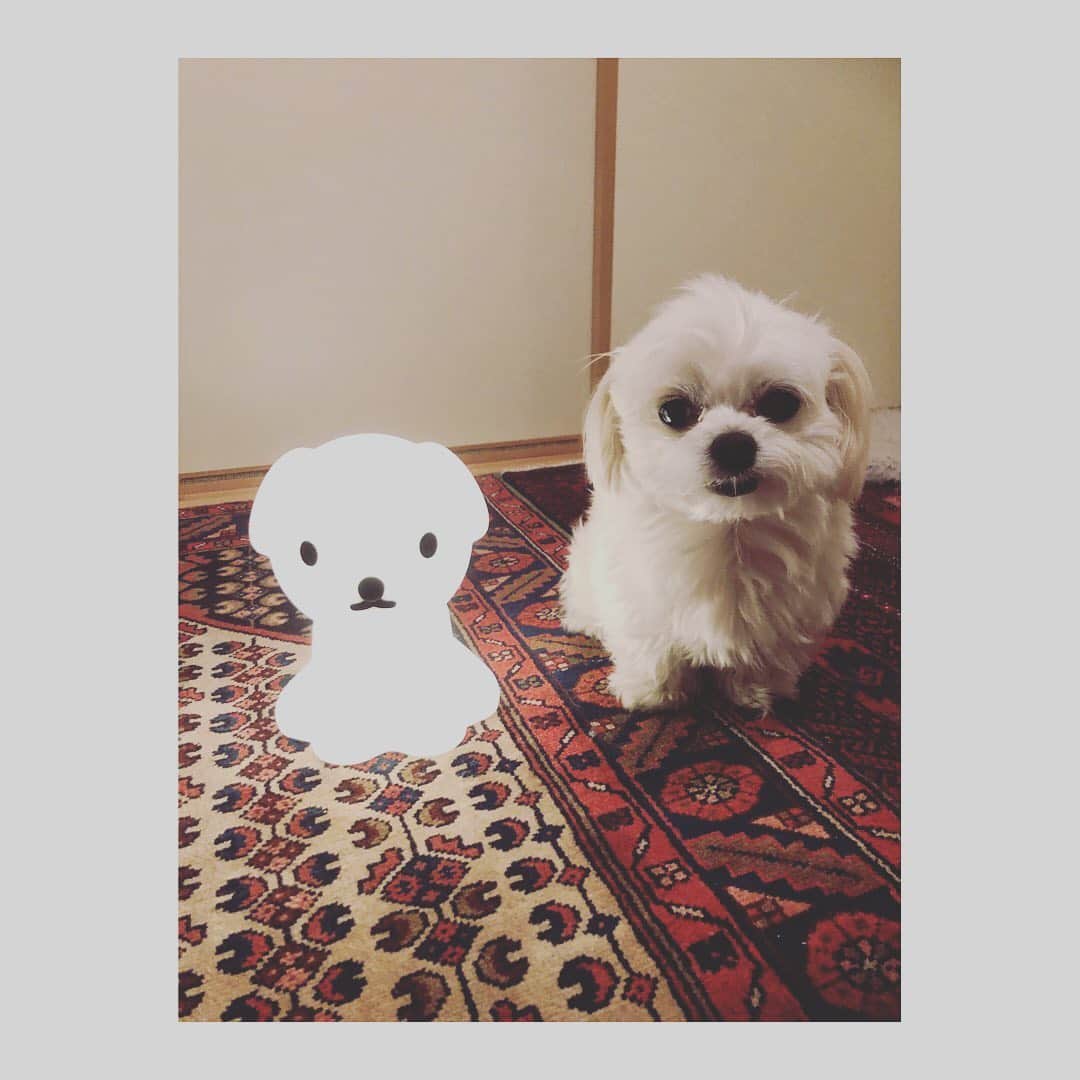 小野真弓のインスタグラム