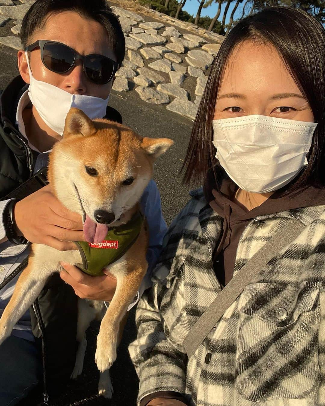 大山加奈さんのインスタグラム写真 - (大山加奈Instagram)「. . 今週は葛西臨海公園へ🎡 . おでかけする予定なかったけど だいずくんがおでかけしたいモードだったので 急きょおでかけすることに💦 . . こんなうれしそうなお顔されたら おでかけしがいがあります🥰 . . 砂の上ではあいかわらず 変なテンションになっちゃうだいずくんに 水がこわいくせに気になるだいずくん かわいいなぁ🥰🥰 . . だいずくんのうれしそうなお顔みられて 今日も幸せ🍀🍀 . . #だいず #だいず🐕💓 #豆柴 #豆柴部  #柴犬 #しばいぬ  #犬のいる暮らし#🐶 #🐕#いぬすたぐらむ #ワンスタグラム #しばすたぐらむ #mameshiba#shibainu#shibastagram #柴犬好きさんと繋がりたい #柴犬のいる暮らし #柴犬ライフ#葛西臨海公園 #わんことお出かけ」11月21日 18時04分 - kanaoyama0619