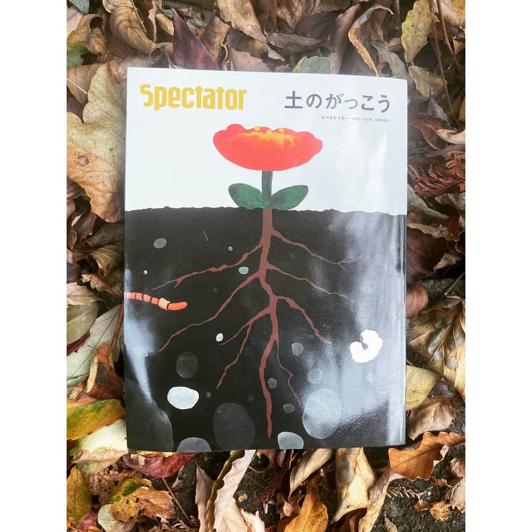 journaleatripのインスタグラム：「soil  新しい知識や人に出逢えたり 確認したり何だかとーーってもワクワクする丸ごと一冊"土の学校"特集。  わかりやすい解説や知識だけでなく 土にたどり着いた方々の生き方も 盛りだくさんで強く興味深く惹きつけ られて泣けたり熱くなったり。  この方達が野菜だったら間違いなく濃くて美味しくて堆肥になっても最高な土になりそうだなとつい連想してしまった。  そして大手術した父は お陰様で無事退院し 来春にむけての土作りのプランを たてております。  大特集されていた橋本先生、 今年の５月31日に先生とコウノリさんと対談させて頂いた模様 eatripsoilのIGV5/31でご覧になれます。もしよろしければ！  #spectator @noriteruminezaki 有難う @nori_kooo またよろしく🙏🌱」