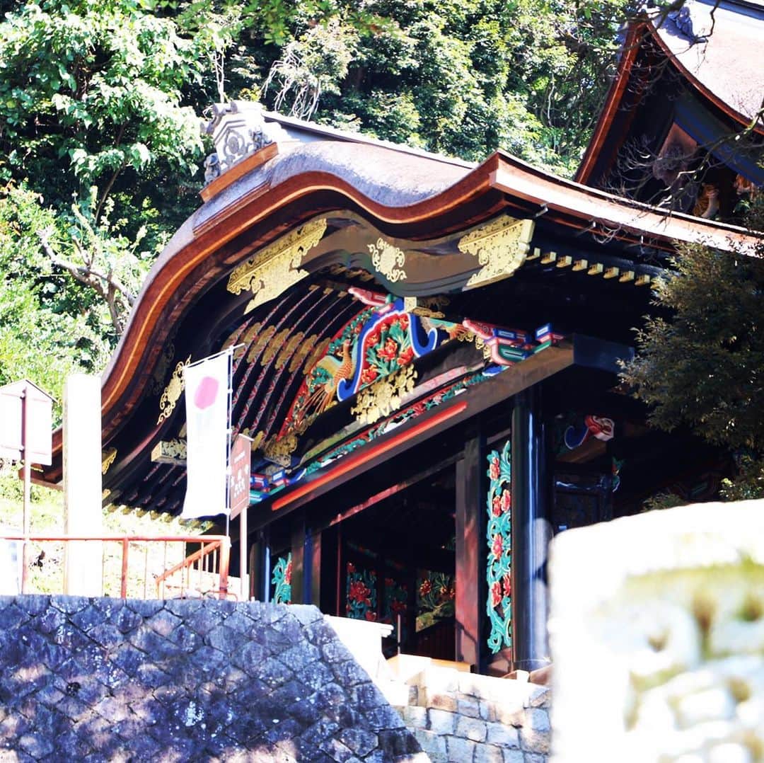 テレビ大阪「おとな旅あるき旅」さんのインスタグラム写真 - (テレビ大阪「おとな旅あるき旅」Instagram)「今夜のおとな旅あるき旅（テレビ大阪）は、秋の琵琶湖へ 絶景と美食があふれる滋賀 高島の旅です！  神の住む島と言われる竹生島では、今年修復が完了し鮮やかに生まれ変わった国宝の唐門など、歴史に触れます。また、映える絶景「メタセコイア並木」や、湖畔の町 海津で眺める極上夕陽など、心癒される美しい景色を堪能。琵琶湖の恵みも続々！お楽しみに！  今夜 18:30〜  #おとな旅あるき旅#テレビ大阪#三田村邦彦#川北円佳#滋賀#高島#近江今津#琵琶湖#湖北#竹生島#唐門#国宝#海津#湖魚#佃煮#地酒#鮒ずし#メタセコイア並木#紅葉」11月21日 18時10分 - tvo.otonatabi