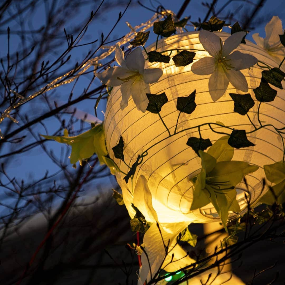 東京造形大学 Tokyo Zokei Universityさんのインスタグラム写真 - (東京造形大学 Tokyo Zokei UniversityInstagram)「_ 毎年恒例👏八王子みなみ野駅 駅前広場でのイルミネーションが、本日より点灯しました🎄✨ ・ 今年のテーマは「ブーケ ～大切な人へ花束を～」です😊一本一本の木が光り輝くブーケへと変身しています✨💐✨それぞれにQRコードも設置されていますので、スマートフォンを片手にご覧ください📲 ・ 点灯は1/15(金)まで。ぜひお楽しみください😄🎀 ・ #東京造形大学 #アート #美術 #デザイン #美術大学 #大学 #美大 #メディアデザイン #イルミネーション #八王子 #八王子みなみ野駅 #横浜線 #空間演出 #tokyozokeiuniversity #arts #design #artuniversity #mediadesign #illumination #hachioji」11月21日 18時12分 - tokyo_zokei_univ_official