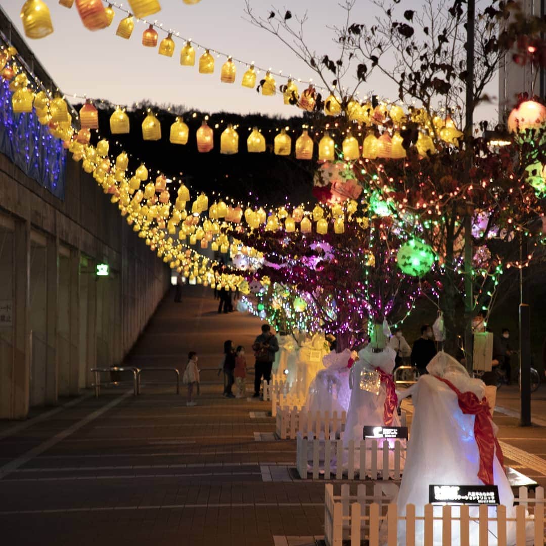 東京造形大学 Tokyo Zokei Universityのインスタグラム