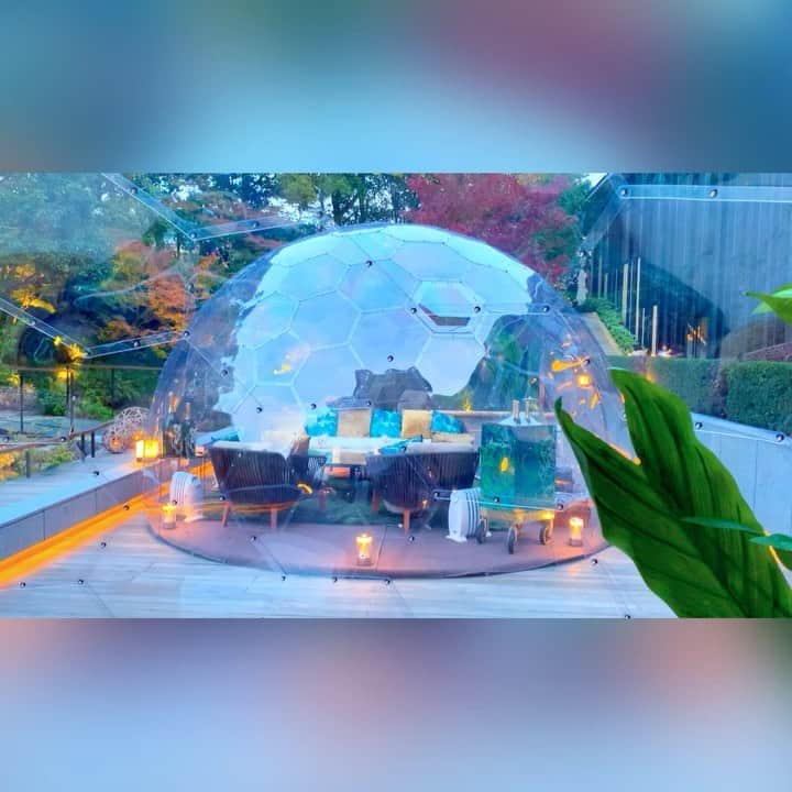 のインスタグラム：「Champagne dome & Japanese garden ✨  #japan #日本 #kyoto  #京都 #東山 #fourseasonshotelkyoto  #フォーシーズンズホテル京都  #terrace  #テラス #champagne #シャンパン #belleepoque  #ベルエポック #dome #ドーム #期間限定 #japanesegarden  #日本庭園 #錦鯉 #幻想的 #夕暮れ #夕暮れ時」