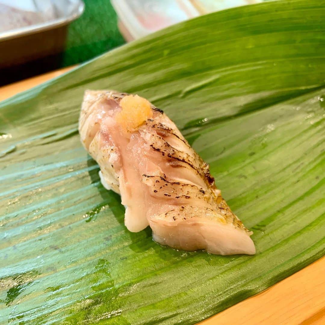 武内裕之さんのインスタグラム写真 - (武内裕之Instagram)「I like to go to the sushi restaurant ALONE😅 #sushi #dinner #fukuoka #福岡 #寿司」11月21日 18時27分 - takechanneeel