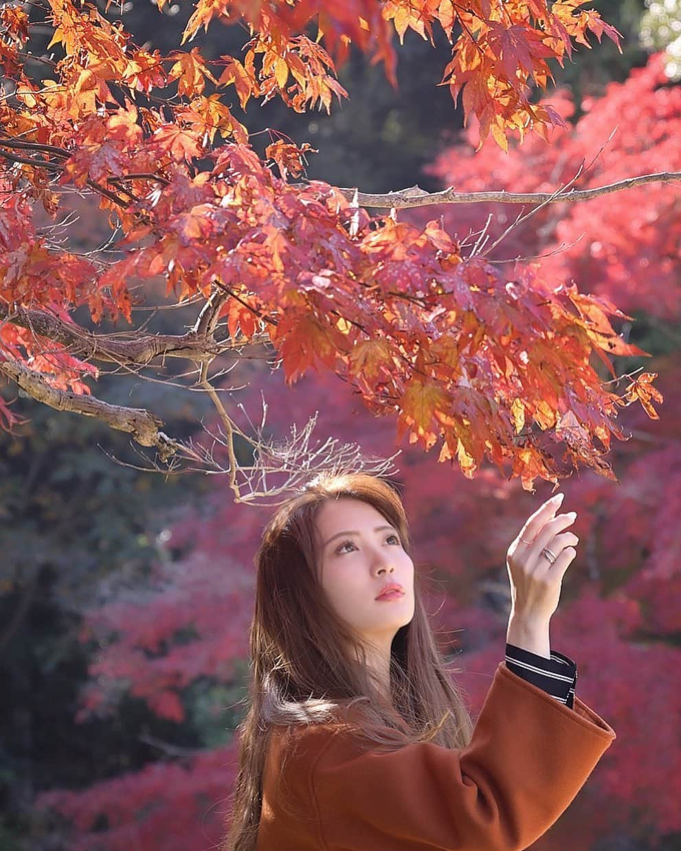 塩崎莉乃さんのインスタグラム写真 - (塩崎莉乃Instagram)「. 紅葉🍁 . こうようって紅葉よな？？ もみじって打ったら紅葉って出るけど 紅葉←もみじって読むん？笑 . 満開じゃないのにめっちゃ綺麗☝️ . 自然には癒されんのよ。 (虫いっぱいやけど) . . . . . . . . . . . . . . . . #紅葉 #紅葉撮影 #イチョウ並木 #もみじ  #滋賀県 #撮影データ #撮影 #滋賀県観光 #自撮り #他撮り #自然 #自然光撮影 #琵琶湖 #ポートレート #ポートレート撮影 #被写体募集  #撮影スポット #一眼レフ #カメラ部 #camera  #関西サロモ #サロンモデル #ロングヘア #撮影 #撮影依頼募集中 #撮影依頼受付中 #シースルー #撮影データ #琵琶湖 #likeforlikes #l4」11月21日 19時04分 - riinon