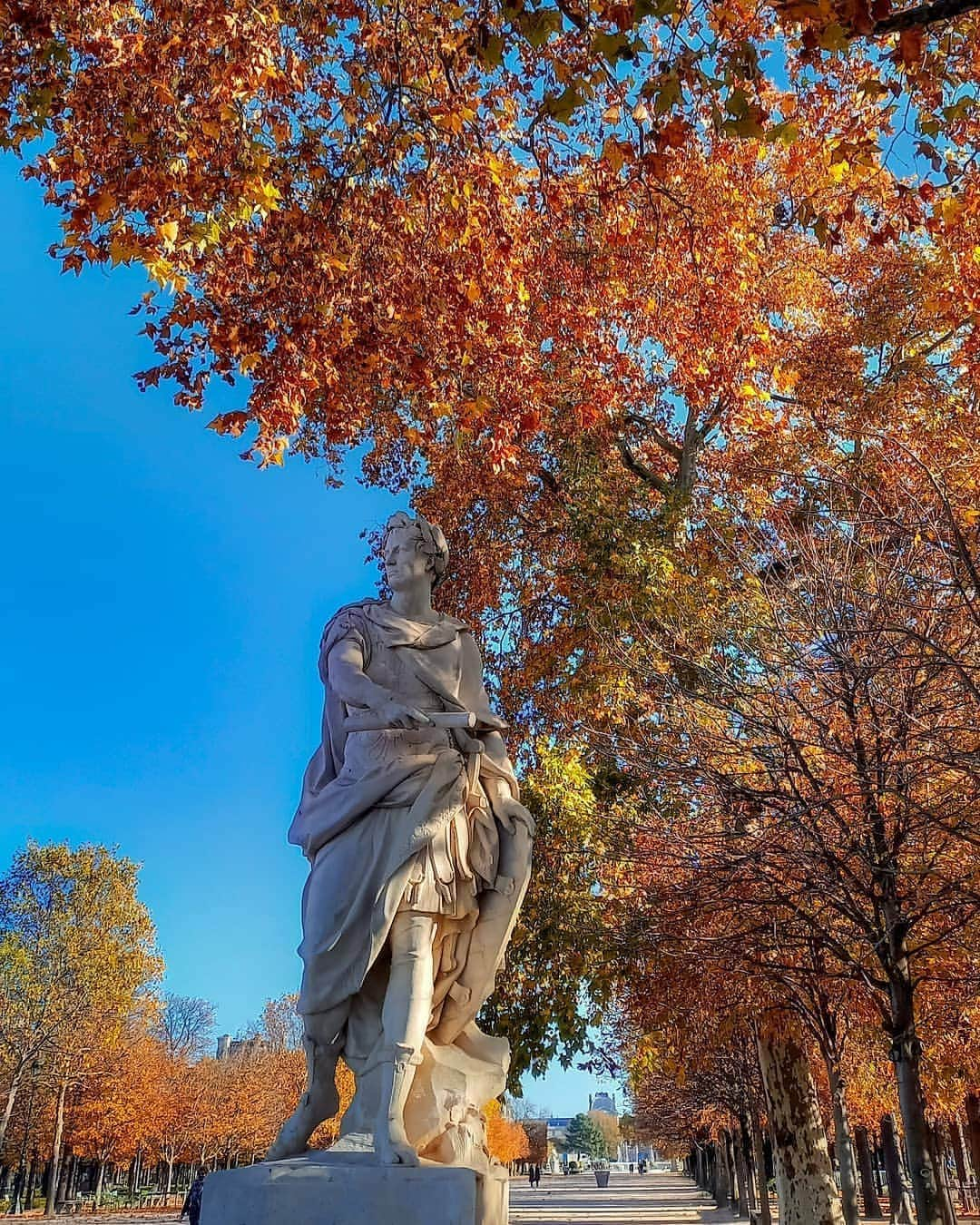 ルーブル美術館さんのインスタグラム写真 - (ルーブル美術館Instagram)「. 🇫🇷 Il fait beau ! Bravo @louloute_purple pour cette magnifique capture du #JardinDesTuileries ! 😍 - 🌳🌸 Vous aussi, partagez votre plus belle photo du jardin des Tuileries avec #ObjectifTuileries et tentez de remporter un Tea Time pour deux personnes à l’Hôtel @lemeuriceparis suivi d’une visite exclusive du jardin des Tuileries.  - - - -  🌎 What a nice weather! Congrats @louloute_purple for this great shot of the #TuileriesGarden! 😍 - 🌳🌸 You too, share your best photo of the Tuileries garden with the hashtag #ObjectifTuileries! Up for grabs: a Tea Time for two at the 5-star luxury hotel @lemeuriceparis followed by a private tour of the Tuileries Garden. . . . #Louvre #MuséeDuLouvre #Tuileries #ConcoursPhoto #Concours #louvreweather」11月21日 19時23分 - museelouvre