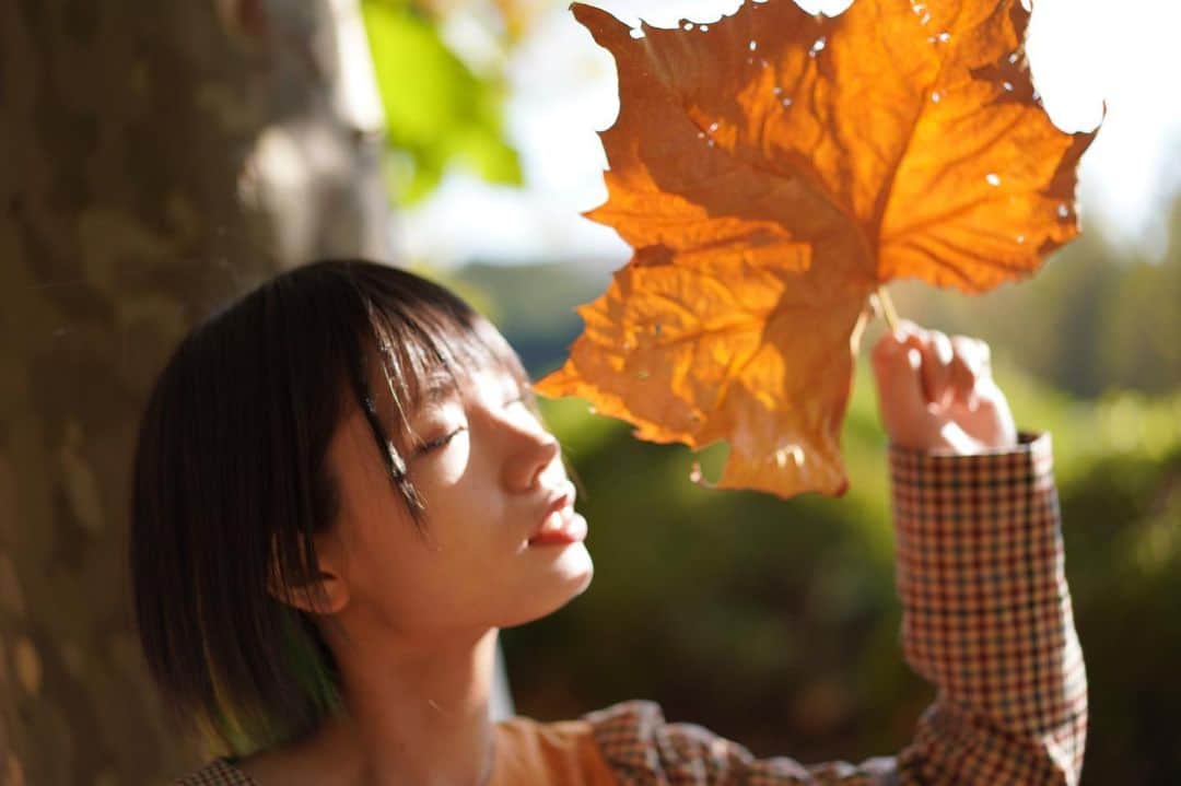 なみなみさんのインスタグラム写真 - (なみなみInstagram)「♪ 秋ですね〜🍁🍁🍁」11月21日 19時21分 - naminami.idushi