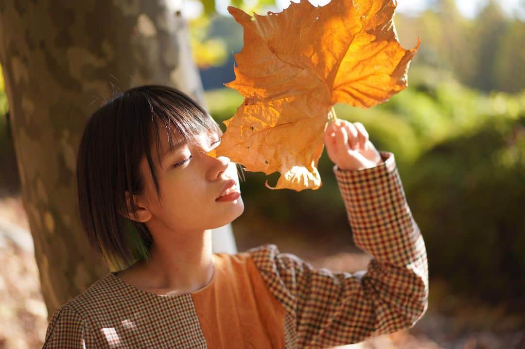 なみなみのインスタグラム：「♪ 秋ですね〜🍁🍁🍁」