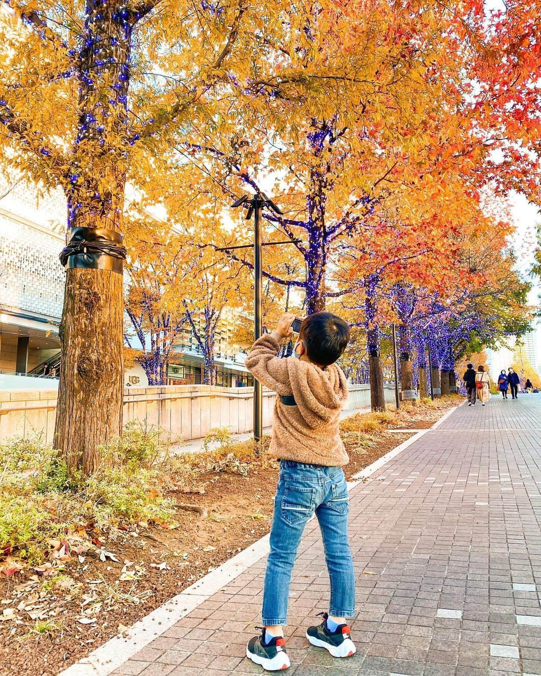 森圭介さんのインスタグラム写真 - (森圭介Instagram)「* 色づく街路樹を見つけたので チビ男6歳に 写真を撮ってあげるよと言うと  「ぼくの写真なんていつでもとれるからいいよ」  といって彼は紅葉に向けてカメラを構えた。  わかってないなぁ。 今しか撮れないのは君の方なんだよ。  そう心でつぶやきながら 父は小さな背中にレンズを向けた。  #秋 #紅葉 #街路樹 #カメラ #こども #スナップ #森圭介」11月21日 19時22分 - mori_kei_suke