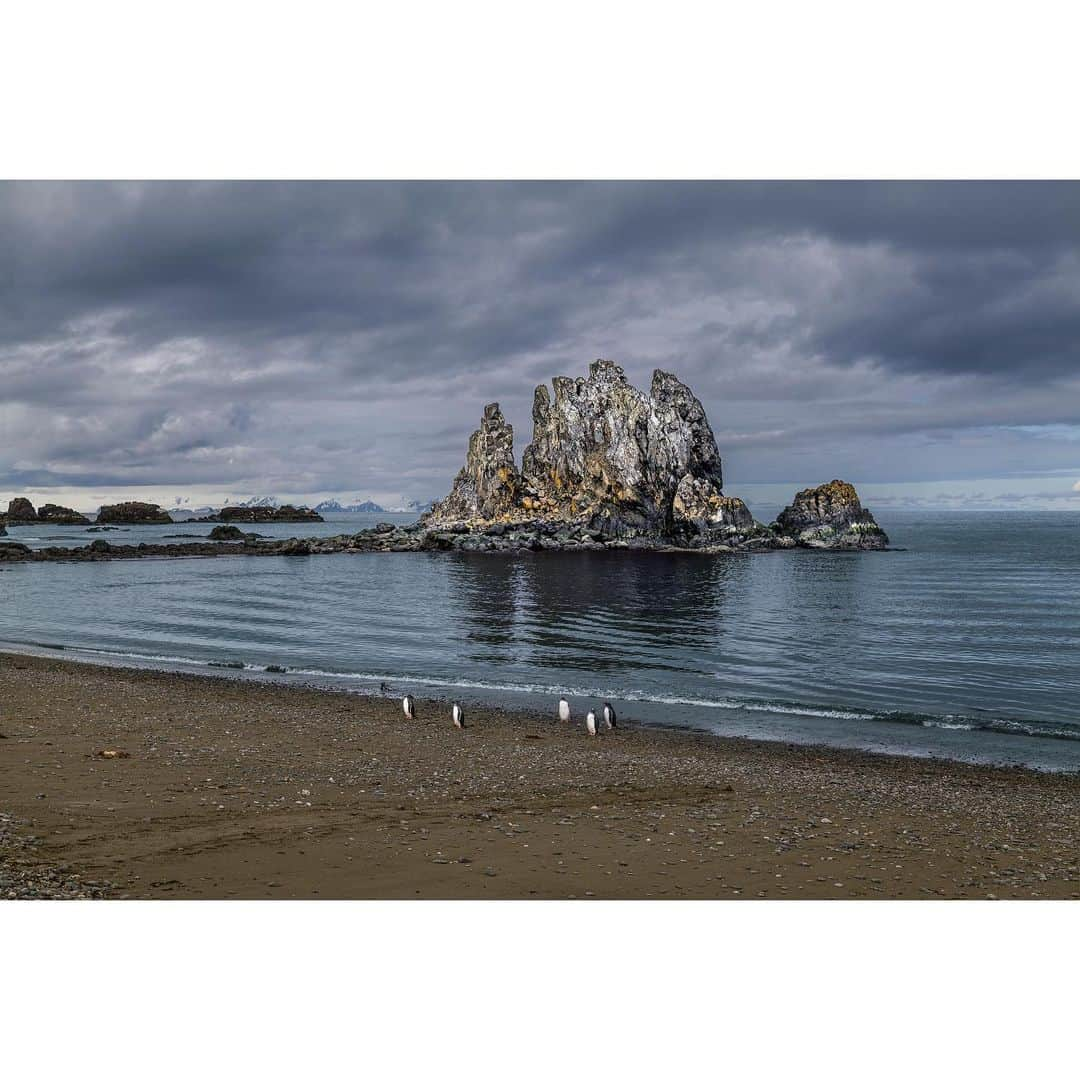 スティーブ・マカリーさんのインスタグラム写真 - (スティーブ・マカリーInstagram)「"Those who contemplate the beauty of the earth find reserves of strength that will endure as long as life lasts." —Rachel Carson  I traveled to Antarctica for the first time in December 2018. Visually, it’s rich, yet monochromatic and minimalist. It is like another world.」11月22日 1時17分 - stevemccurryofficial