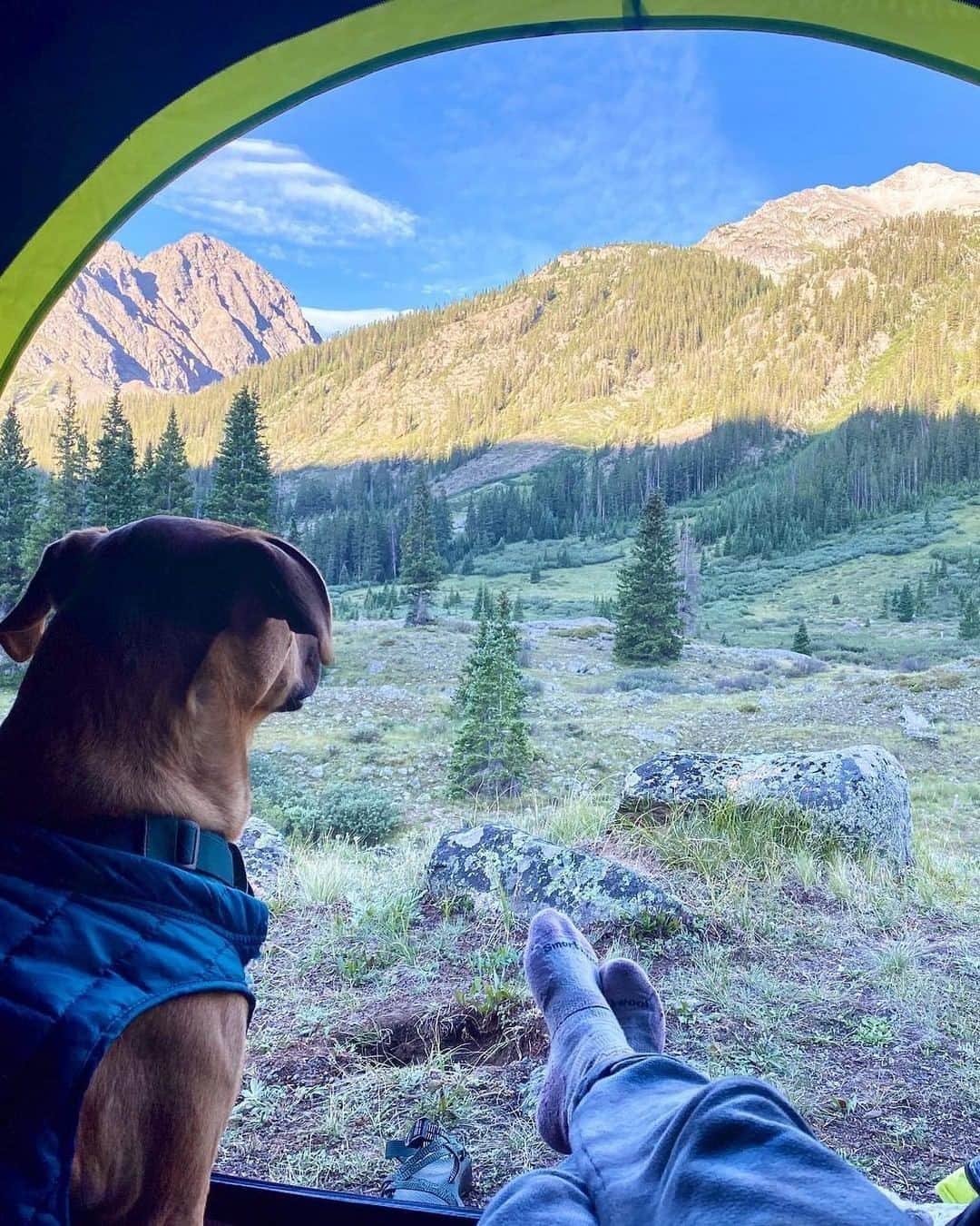 Coleman Japanのインスタグラム：「世界の #テントからの景色 を覗いてみよう⛰⛺️  📷：@colemanusa @mightyfinn01🇺🇸 ・ ━━━━━━━━━━━━━━━━━ #私のコールマン を付けて投稿して頂いた中から素敵なお写真は、コールマン公式SNSでご紹介させて頂きます♪ ━━━━━━━━━━━━━━━━━ ・ ・ ・ #灯そうColeman #灯そうコールマン #灯そう #Coleman #コールマン #Camp #キャンプ #Outdoor #アウトドア #Tent #テント #コールマンテント #絶景キャンプ #犬連れキャンプ #キャンプ犬」