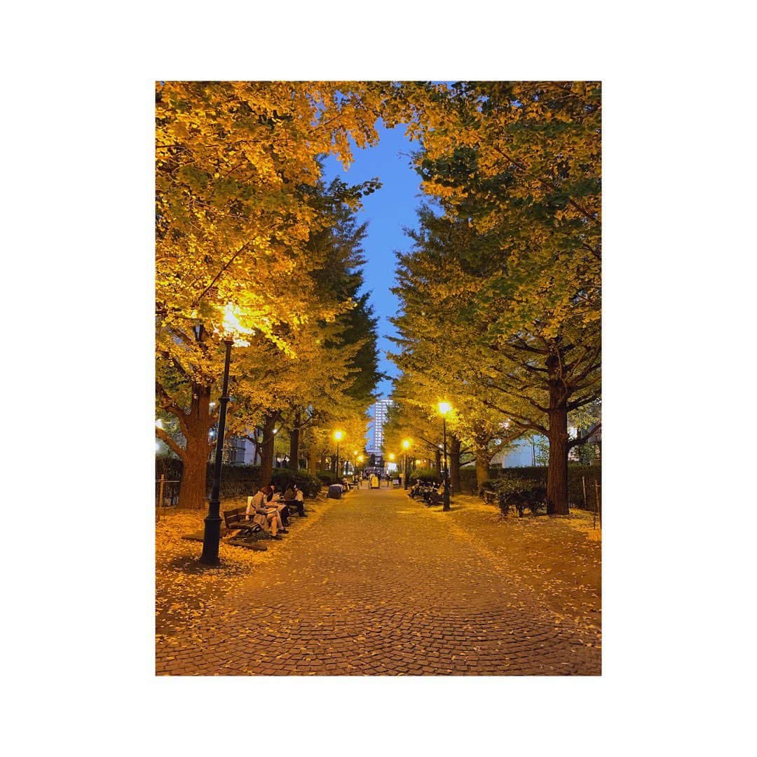 のインスタグラム：「今年初の紅葉撮影🤳🍁」