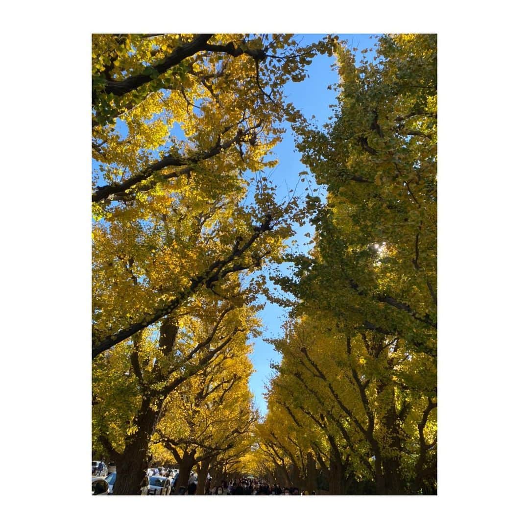 美保なな実さんのインスタグラム写真 - (美保なな実Instagram)「🍂💛🍁  外苑の銀杏がとっても綺麗だったよ！！！  毎年この時期は必ず来てて。  娘もピース👌🏻(←のつもり)して喜んでくれました〜😍  来年も行こうね〜🙌🏻」11月21日 20時33分 - nanami_mmm