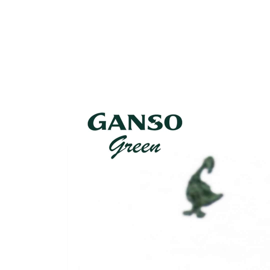 のインスタグラム：「Reinventando nuestro camino. Ganso Green  C O N S C I O U S SUSTAINABLE #comingsoon」