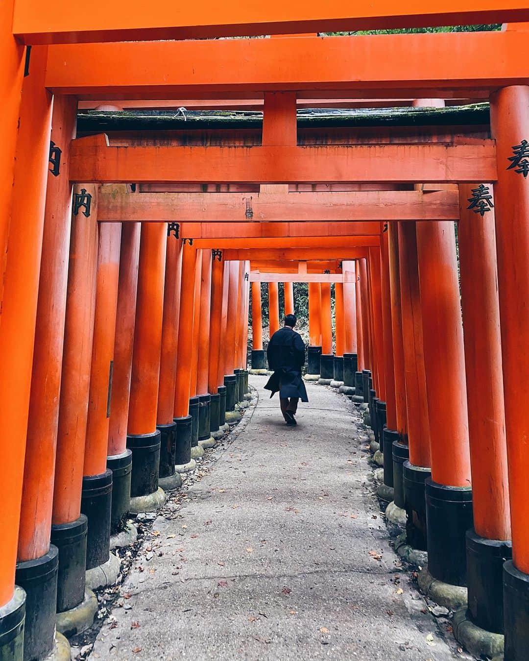 小塚源太のインスタグラム：「⛩⛩⛩ 全力京都 #Kyoto #Japan」