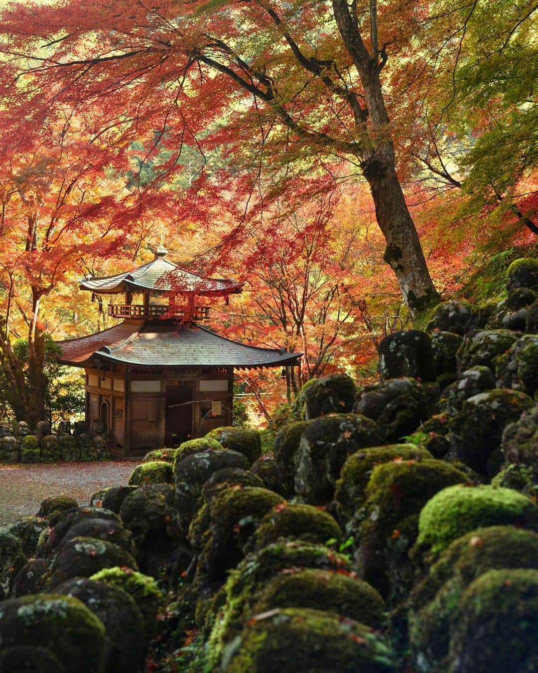 Koichiのインスタグラム：「| Autumn leaves and green moss  #BeautifulJapan #Hellofrom #Kyoto  #京都 #奥嵯峨野 #愛宕念仏寺  .」