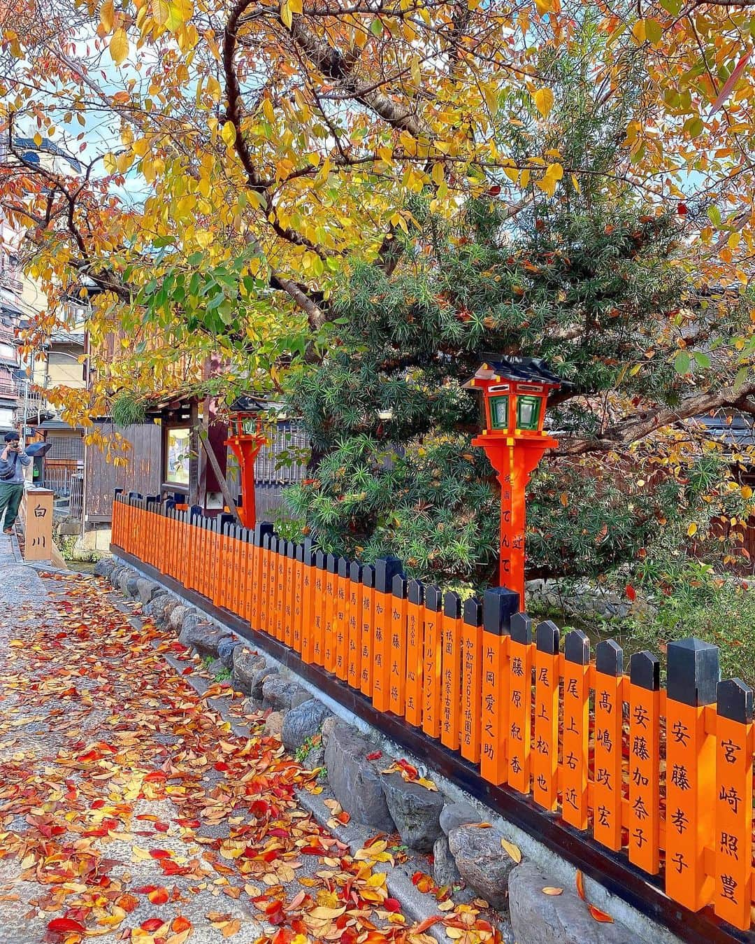 得あゆさんのインスタグラム写真 - (得あゆInstagram)「綺麗だった🍁❤️ #祇園白川 橋と川と紅葉と… 平日昼間は人も少ないのでおすすめです🍁 ・ ・ ・ ・ ・ ・ ・ ・ ・ ・ ・ #京都#京都紅葉#京都観光#京都グルメ#京都カフェ#京都旅行#紅葉#紅葉狩り#観光#女子旅#タビジョ#国内旅行#秋コーデ#秋#ニット#インスタ映え#カメラ女子#オトナ女子#祇園#巽橋#橋#綺麗な景色#kyoto#kyotojapan#kyototrip#autumnleaves#kyototravel#japantravel#japanesegirl」11月21日 21時18分 - tokuayu819