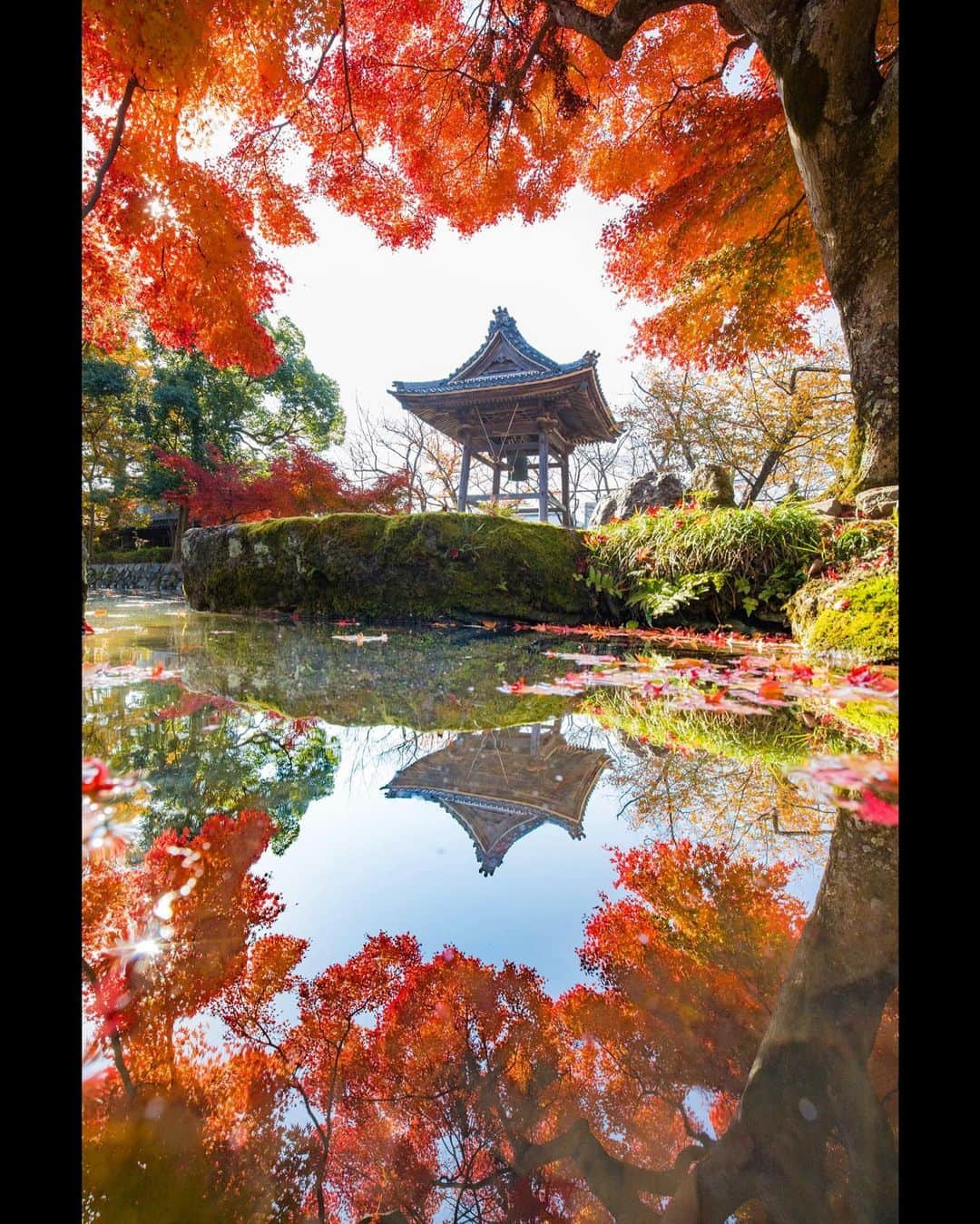 滋賀県長浜市さんのインスタグラム写真 - (滋賀県長浜市Instagram)「今年の紅葉は早い❗️ この連休がどうやら最後となりそうです🍁  名所ではなくても、 規模は小さくても、 市内に点在する寺社のモミジやイチョウも素晴らしいです！ ソーシャルディスタンスでお楽しみくださいね🍁✨ ・ date 2020.11.18 location 高月町井口 ・ #長浜ちょぴっく #みんなのちょぴっく #長浜市 #滋賀 #滋賀写真部 #しがトコ #60sistercityaan #紅葉 #もみじ #ソーシャルディスタンス #リフレクション #japan #japanese #秋 #autumn #tokyocameraclub #nature #landscape #season」11月21日 21時12分 - nagahama_city