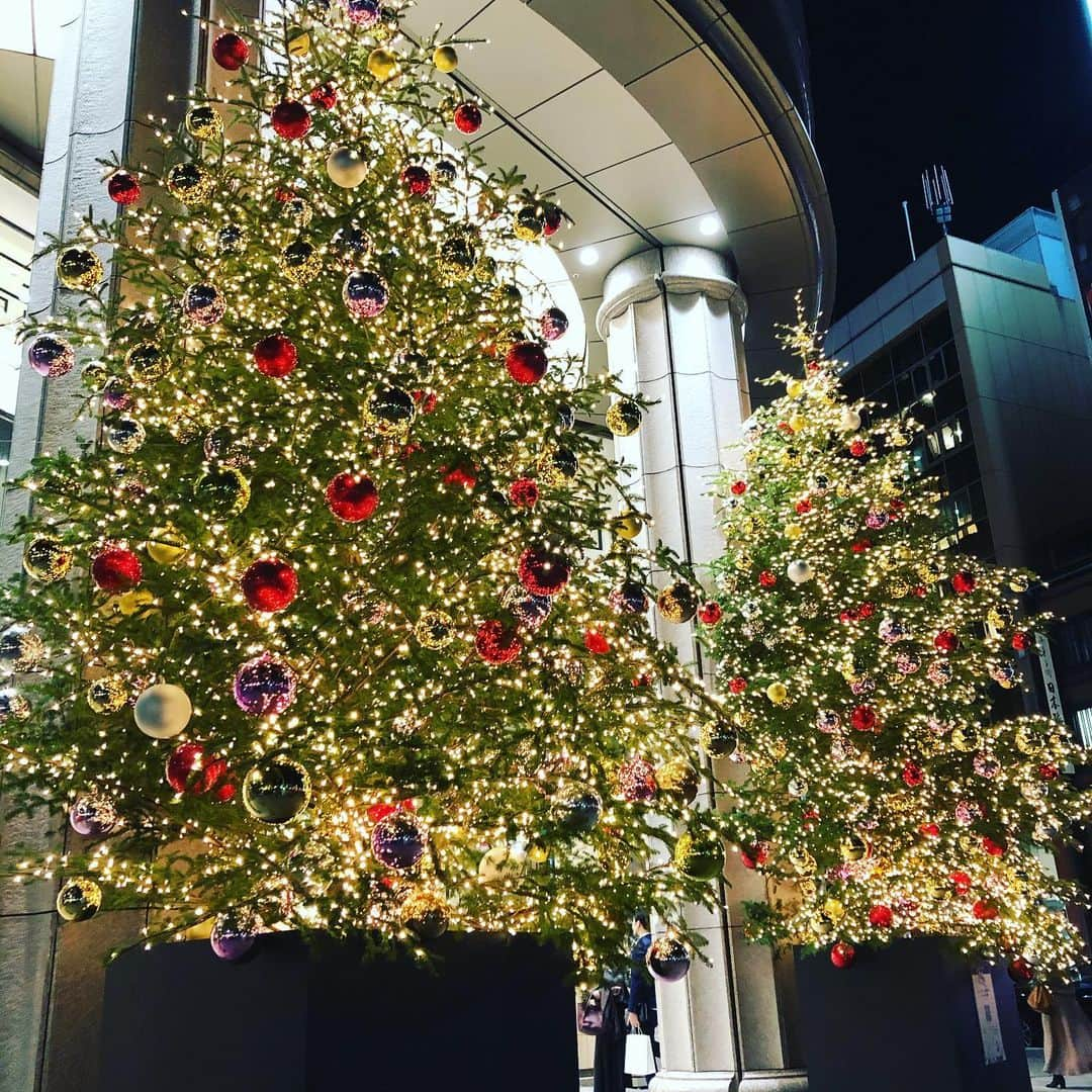 井原早紀のインスタグラム：「日本橋三越本店のクリスマスツリー。 大きくて、煌びやか✨  そういえば、ディズニーには大きなツリーがなかったなぁ！  今日は用事があって一人だったから、ふらりと成城石井へ😃  モンブランロールを10%オフでゲット👍（私用）横にならないように、大事に抱えて帰りました〜  #クリスマスツリー#クリスマス#日本橋#三越#日本橋三越本店#成城石井#モンブランロール#スイーツ#子育て#男の子ママ#兄弟ママ」