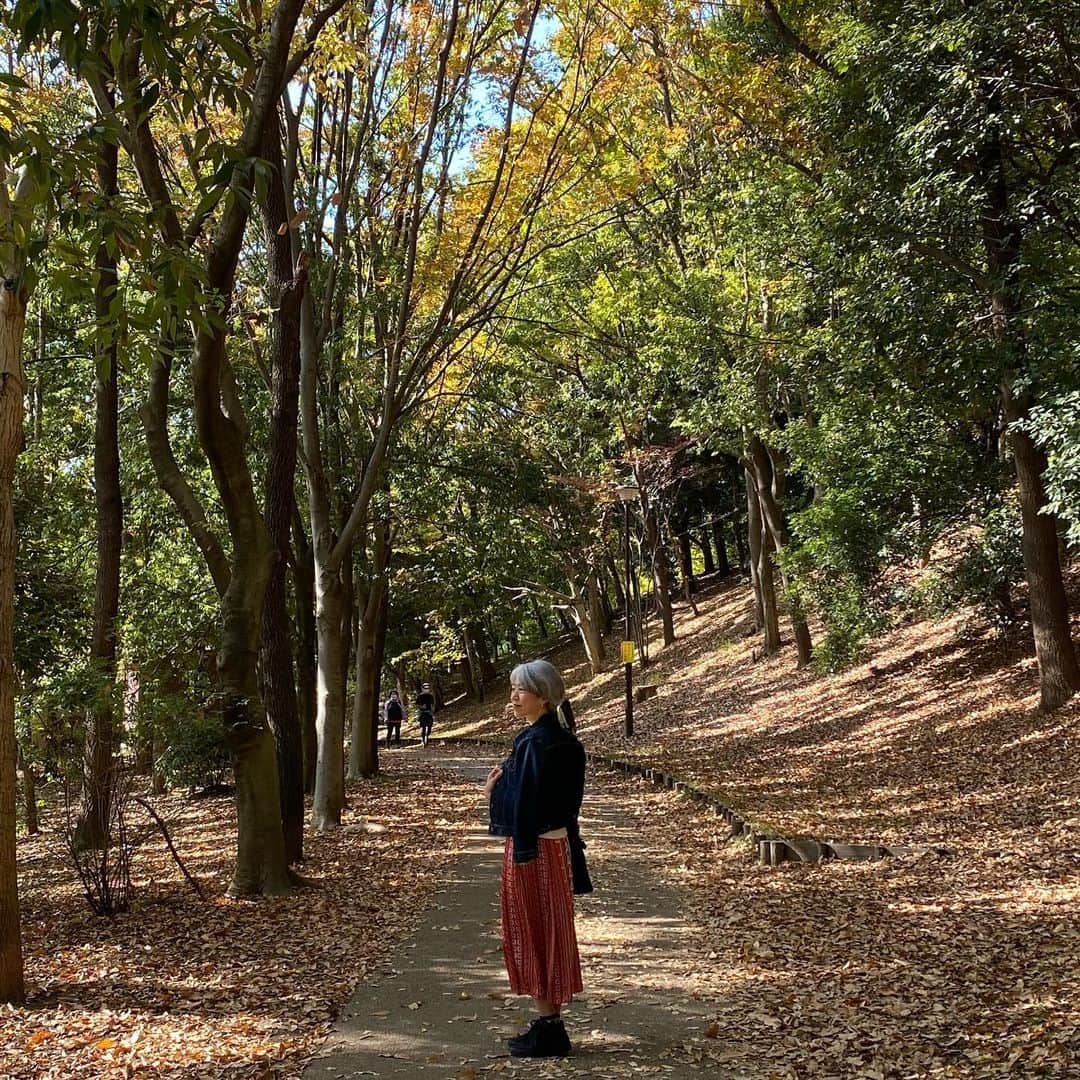 朝倉真弓さんのインスタグラム写真 - (朝倉真弓Instagram)「✨紅葉散歩🍁✨﻿ ﻿ 近所の公園をぶらぶらお散歩。﻿ ﻿ どっか遠くに行きたいなぁ。﻿ ﻿ まだしばらくお預けかなぁ😔﻿ ﻿ #紅葉﻿ #秋﻿ #散歩﻿ ﻿ ………………………………………………………… ﻿ プロフィール欄より、朝倉真弓の﻿ パーソナルサイトに飛べます。﻿ ﻿ サイトの無料会員登録、﻿ 引き続き募集中！﻿ ﻿ 限定動画などをお送りしております！﻿ …………………………………………………………﻿ ﻿ #グレイヘア #グレーヘア #グレイヘアモデル  #ヘアモデル #白髪 #白髪染めやめた #grayhair #grayhairstyle #greyhair #アラフィフ女子 #40代 #アラフィフ #自分を好きになる #コンプレックス解消 #講師 #講演家 #朝倉真弓 #ファッション #大人の放課後センス」11月21日 21時24分 - mayumi_asakura