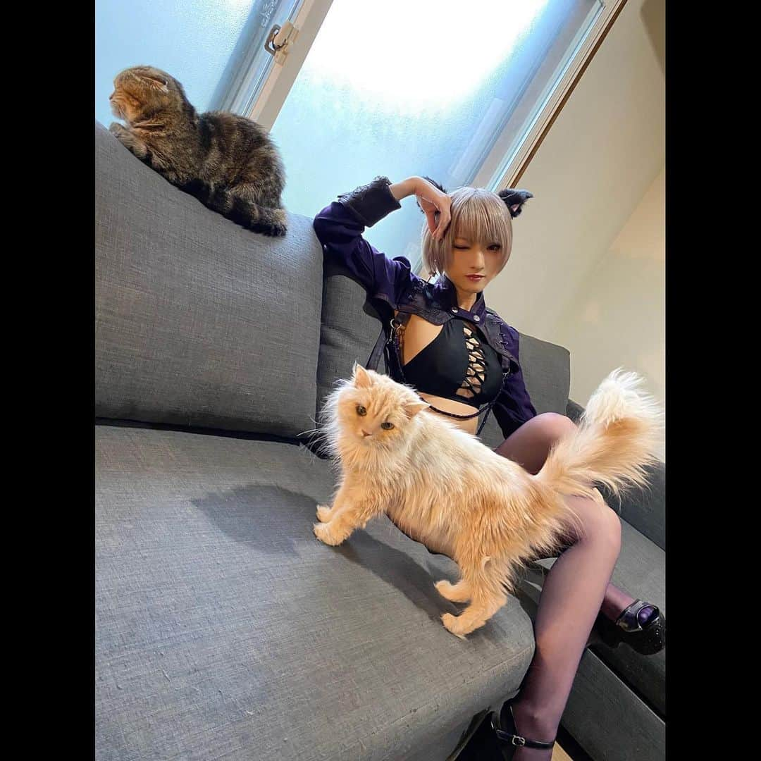 火将ロシエルさんのインスタグラム写真 - (火将ロシエルInstagram)「この前出た週プレのオフショット。 猫ちゃん可愛すぎてなかなか決めの写真撮れないロシエルさん」11月21日 21時28分 - kasyou3roshieru