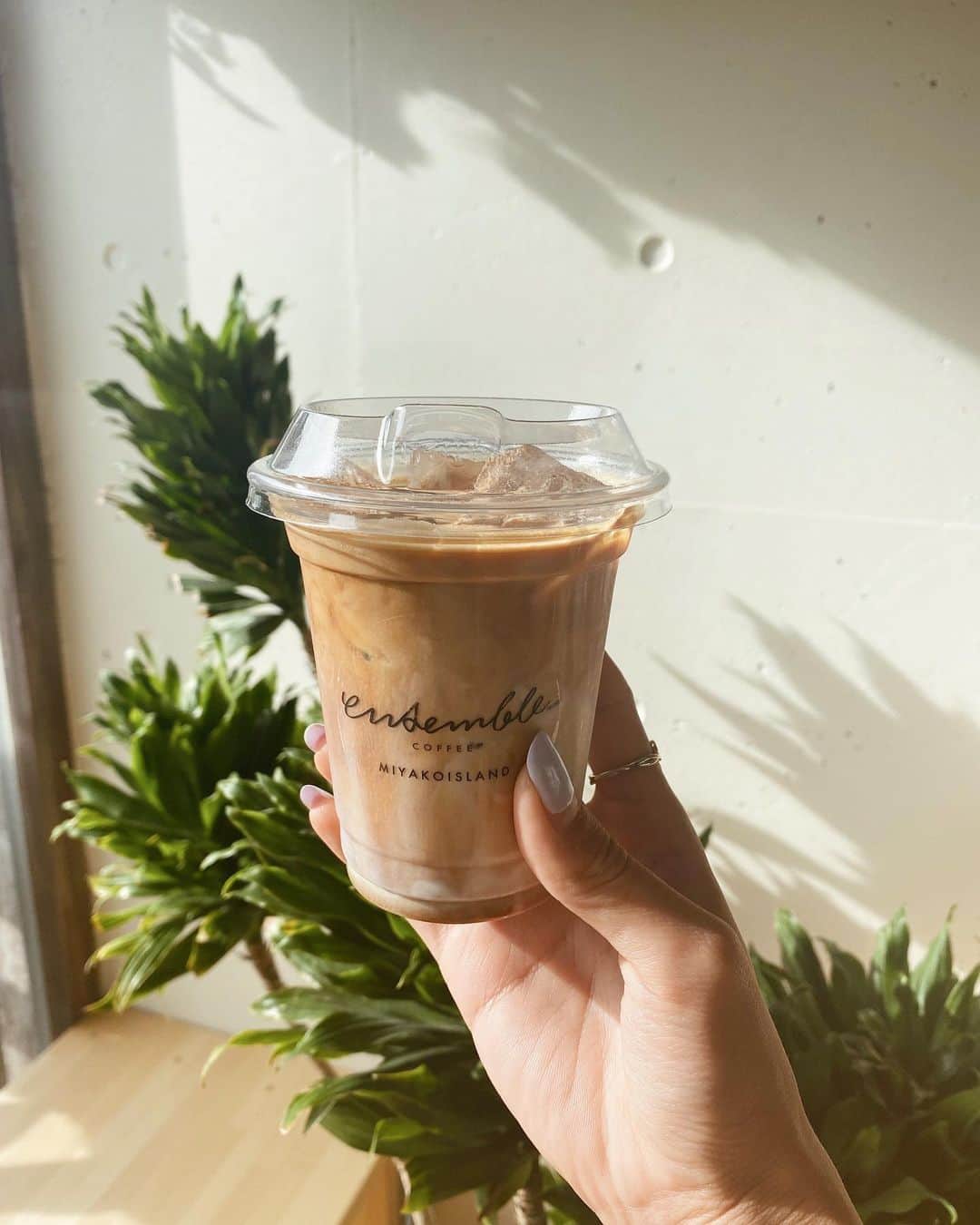 森山菜々のインスタグラム：「.﻿ ☕️🌵🌤﻿ ﻿ コーヒー屋さんで働いてみたい、ナ🍁﻿ #現実ガーリックに囲まれる生活☺️🧄﻿ ﻿ #okinawa #miyakojima #ensemblecoffee﻿ #沖縄　#宮古島　#アンサンブルコーヒー」