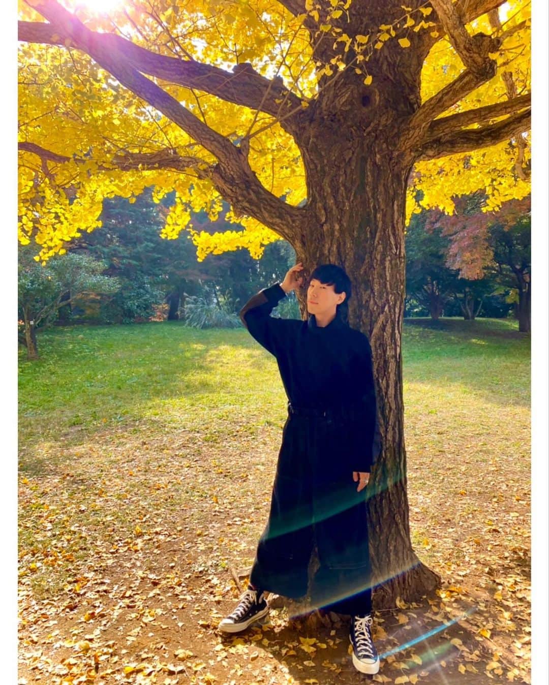 坂口涼太郎さんのインスタグラム写真 - (坂口涼太郎Instagram)「🌅🍁🌙🍂 #涼短歌」11月21日 21時46分 - ryotarosakaguchi