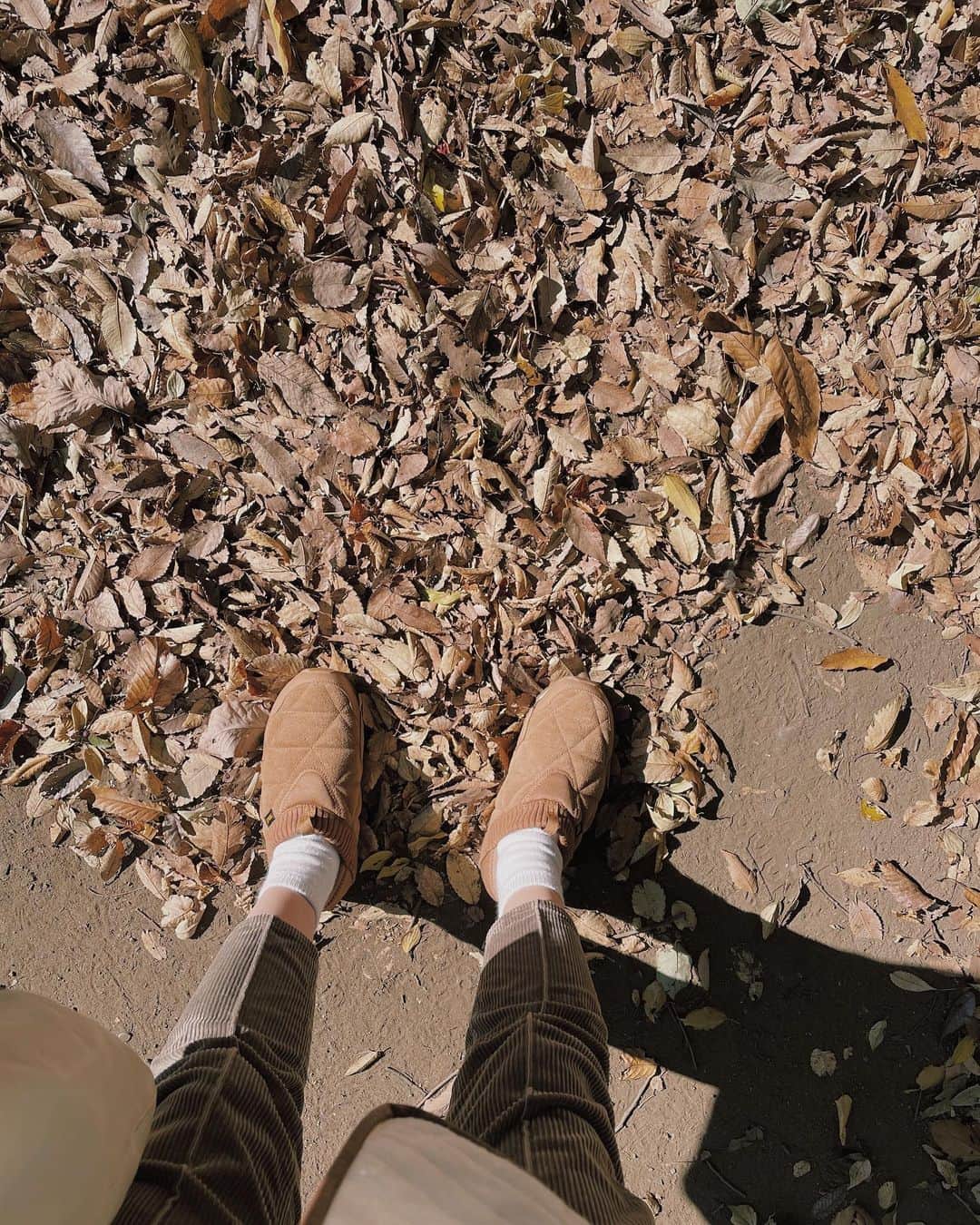 原田沙奈子さんのインスタグラム写真 - (原田沙奈子Instagram)「公園日和の土曜日。 太陽が元気で程よく暑くて敷物の上から動かない私も気持ち良かった。←  のーんびりしながら、時たま強く吹く風に乗って、落ち葉が刺さってくることもあったけど。 「ゲイルに包まれてるみたいー」と言いながらクルクル回ってるアマネの楽しそうな姿を見るとゲイル（風の精霊byアナ雪2）よ、有難う🙏と思う割と身勝手な母。  カサカサの葉っぱを踏んだ音も良かったなー。  久しぶりにほっぺを赤くしながら遊ぶアマネとアオバだったけど、午後になると急に冷え込むもんだからビックリした。 この時期の寒さ対策はとにかく暖かい靴に限る。 中がモフモフで踵踏んだらサンダルとしても履ける便利なシューズはTeva。←アマネとお揃い♡  アウターはポッケが大きくて軽めのもので。←リバーシブルなの、コレ  帰る支度してると名残惜しそうに公園を見つめる2人がまた可愛いかったなぁ…  あれだけ駆け回ったから今日はすぐ寝るのかと期待してるんだけど… まだ絶好調なご様子で😑  あのぅー、どうでしょう。 そろそろ寝てくれませんかねー。  #公園」11月21日 21時51分 - sanakoharada