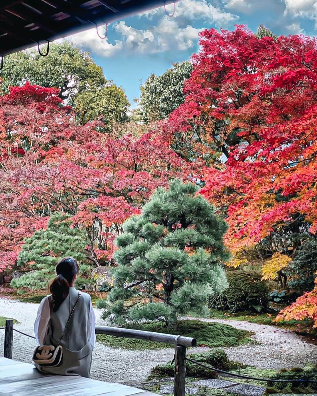 Yukicoさんのインスタグラム写真 - (YukicoInstagram)「🍁 . . 南禅寺 天授庵 枯山水を楽しめるお庭にて . . ぎゅうぎゅうに座っていたのに 急に誰もいなくなった数分間 . . この幅以外はぎゅうぎゅうに人がいます . . . . . . . . 南禅寺天授庵 京都市左京区南禅寺福地町86-8　 拝観時間: 9:00～16:45 （11/15～2/末は16:30） 拝観料: 500円  ————————————————————— 私の写真の編集については フォトレッスンでレクチャーをしています 見てくださる方にプラスになる投稿をしていきます 是非いいね♡フォロー♡ よろしくお願いいたします𓅟 —————————————————————  #kyoto#japantrip#京都観光#京都紅葉2020#京都旅行#紅葉#京都紅葉#天授庵#寺社仏閣#南禅寺#天授庵#天授庵庭園#蹴上#京都観光#京都#京都旅#インフルエンサー#インスタグラム#インスタ映え#gotoキャンペーン」11月21日 22時02分 - yukicolifecom