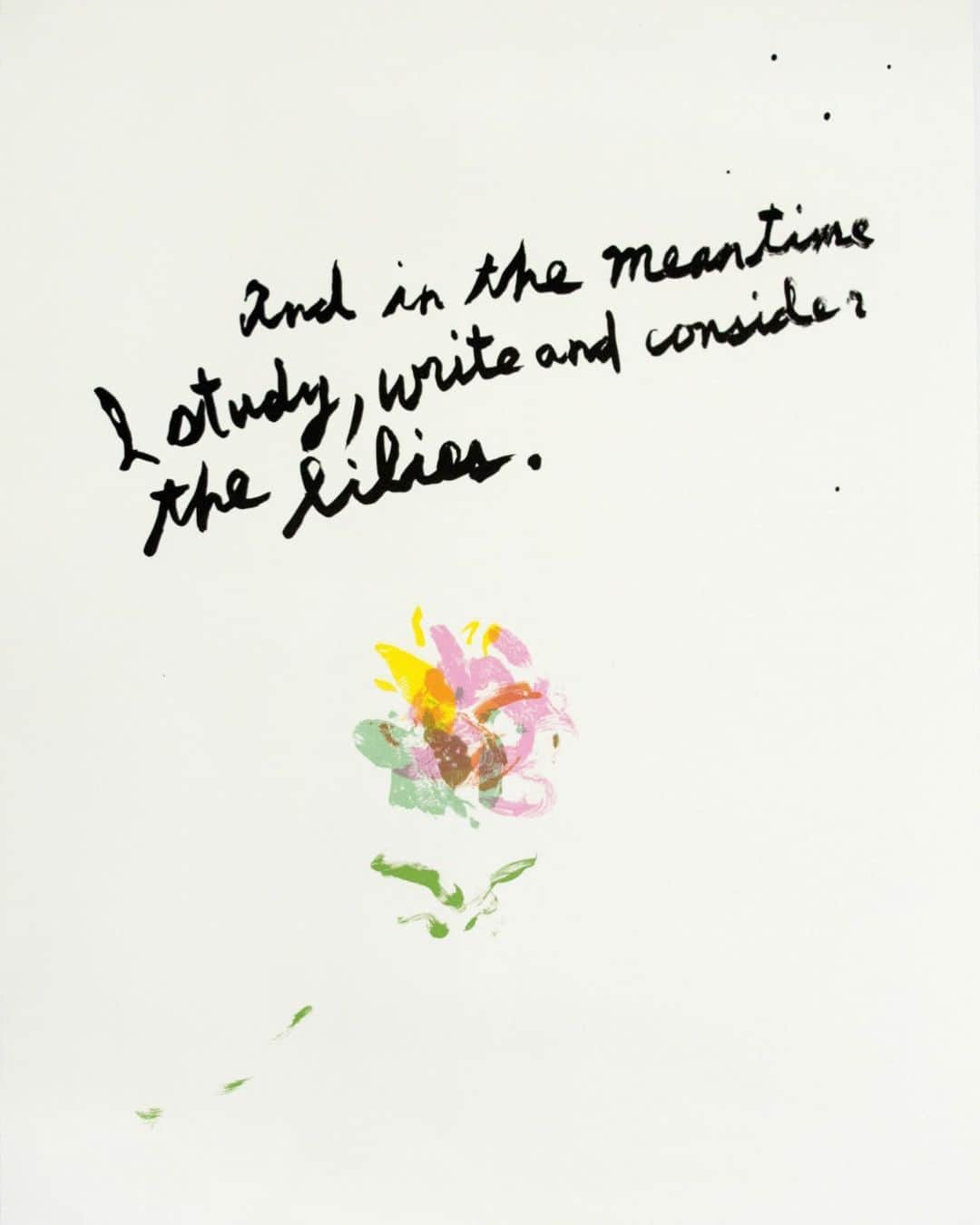 アリス・ガオのインスタグラム：「untitled (lilies), 2018 raymond pettibon」