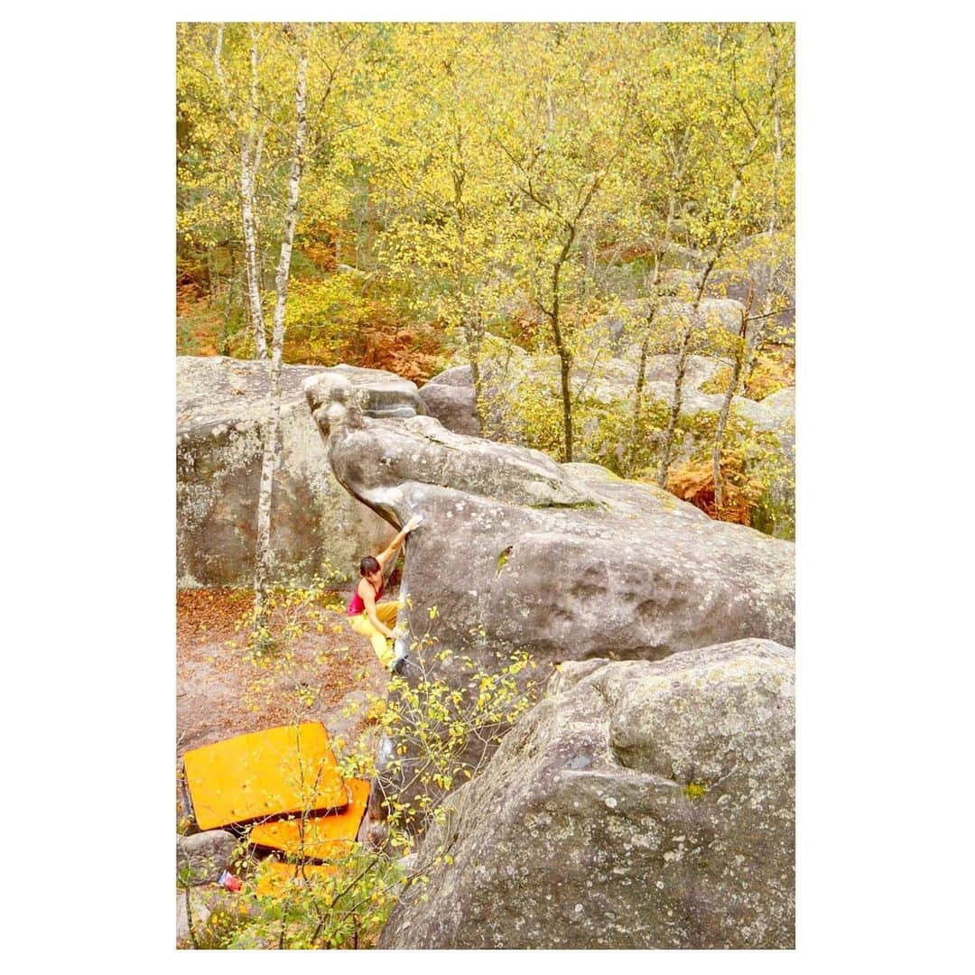 小林由佳のインスタグラム：「Autumn🍁⋆͛  #YellowRed @mammut_japan」