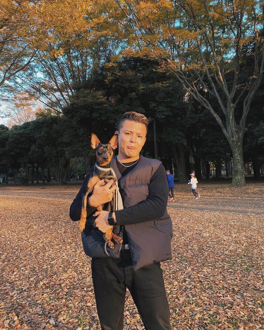 のインスタグラム：「秋だね。🍂🍇🍁🍃」