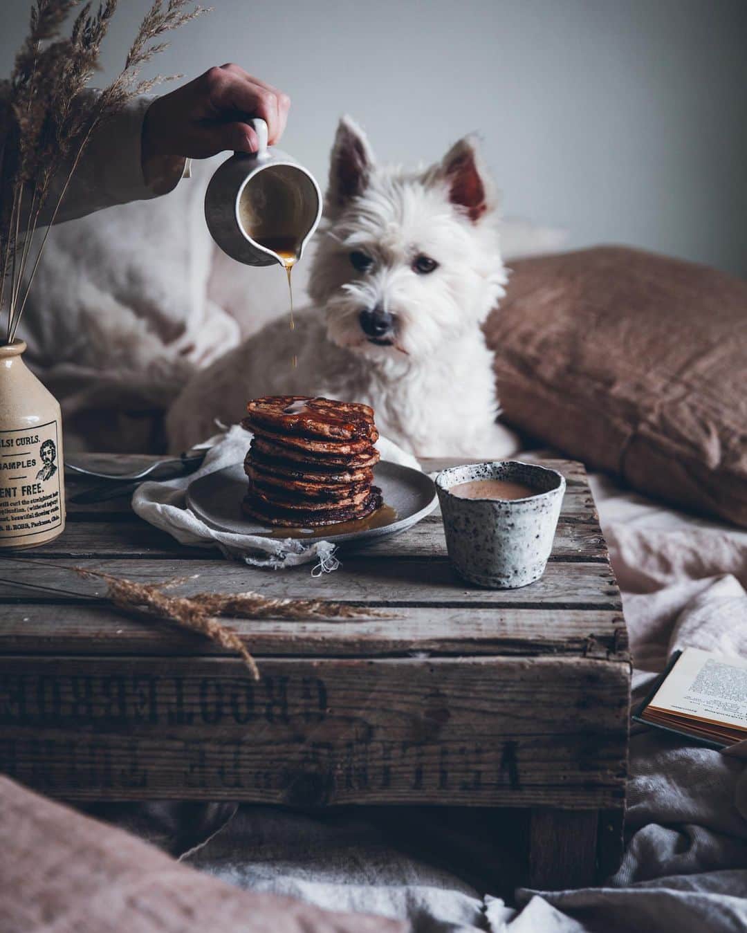 Linda Lomelinoのインスタグラム：「Five years ago today we picked up this little guy in a parking lot in Sweden, after a long trip for him from Ireland ♥️ Best decision ever! Swipe for some pastry+Mozart moments 🥰 #westie」