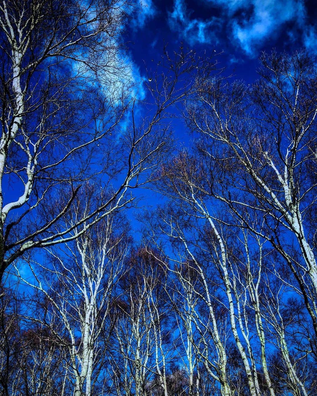 K.A.Zさんのインスタグラム写真 - (K.A.ZInstagram)「写真は標高1500mくらいの場所⛰ 夜からの気温は マイナスになるけど🥶 とにかく星空が凄い💫✨ 昼間は雲が近くに感じる☁️🧎🏻 電波はほぼ繋がらない📶❌🐦 目の前に野生の鹿も🦌🧎🏻 昔の人々はこんなタフな環境でも 生活をしていたんだろうなぁ〜って、とても感慨深い🦉🔥🐒」11月21日 22時47分 - k.a.z1011