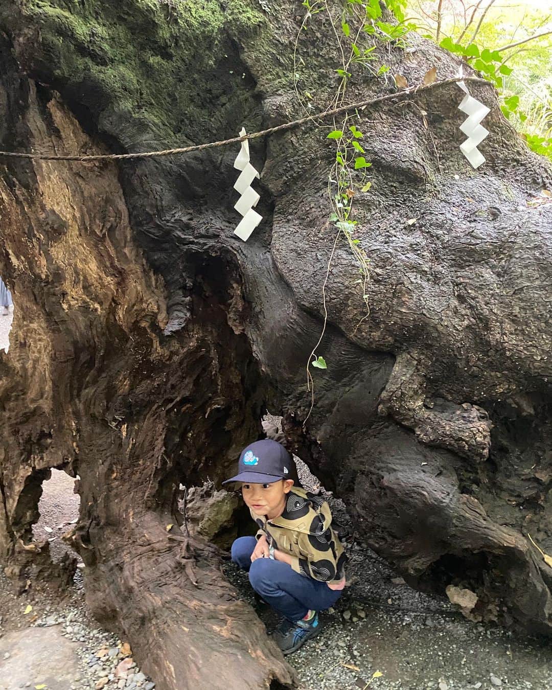 桃生亜希子さんのインスタグラム写真 - (桃生亜希子Instagram)「温泉の帰りに寄った来宮神社⛩。 　樹齢2000年以上という大楠に会いに行って来ました。 　落ち葉がハート型に集められていたり、蛇が祀られている池があったり、とてもユニークでパワーを感じる神社でした。🙏✨  #大楠　#来宮神社 #温泉旅行　#パワースポット #旅行 #trip #travel」11月21日 22時55分 - pinokosugar
